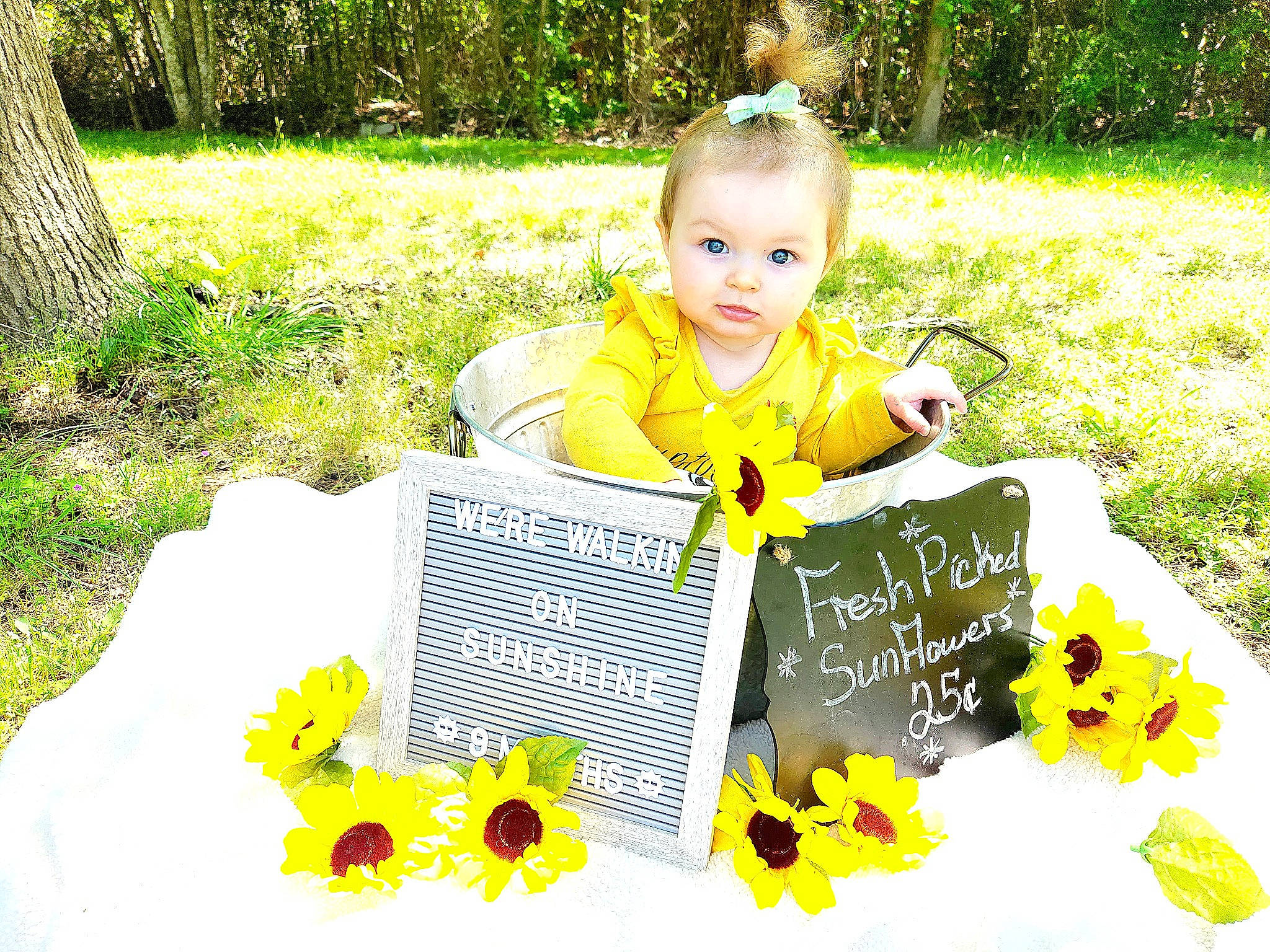 Adalyn is registered to the contest to win money with this photo: adaptation, baby, baby_toddler_clothing, botany, flower, font, grass, groundcover, happy, leaf, meadow, people_in_nature, person, petal, plant, product, sitting, spring, toddler, tree
