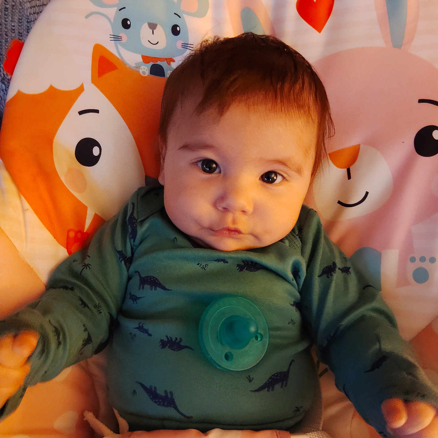 Darian Wayne joined the competition — help win amazing prizes! animal_pattern, baby, baby_seat, cartoon_animals, child, childcare, cushion, cute, dinosaur_print, face, green_clothing, hearts, indoor, infant, orange, pacifier, pink, portrait, smiling, soft_texture