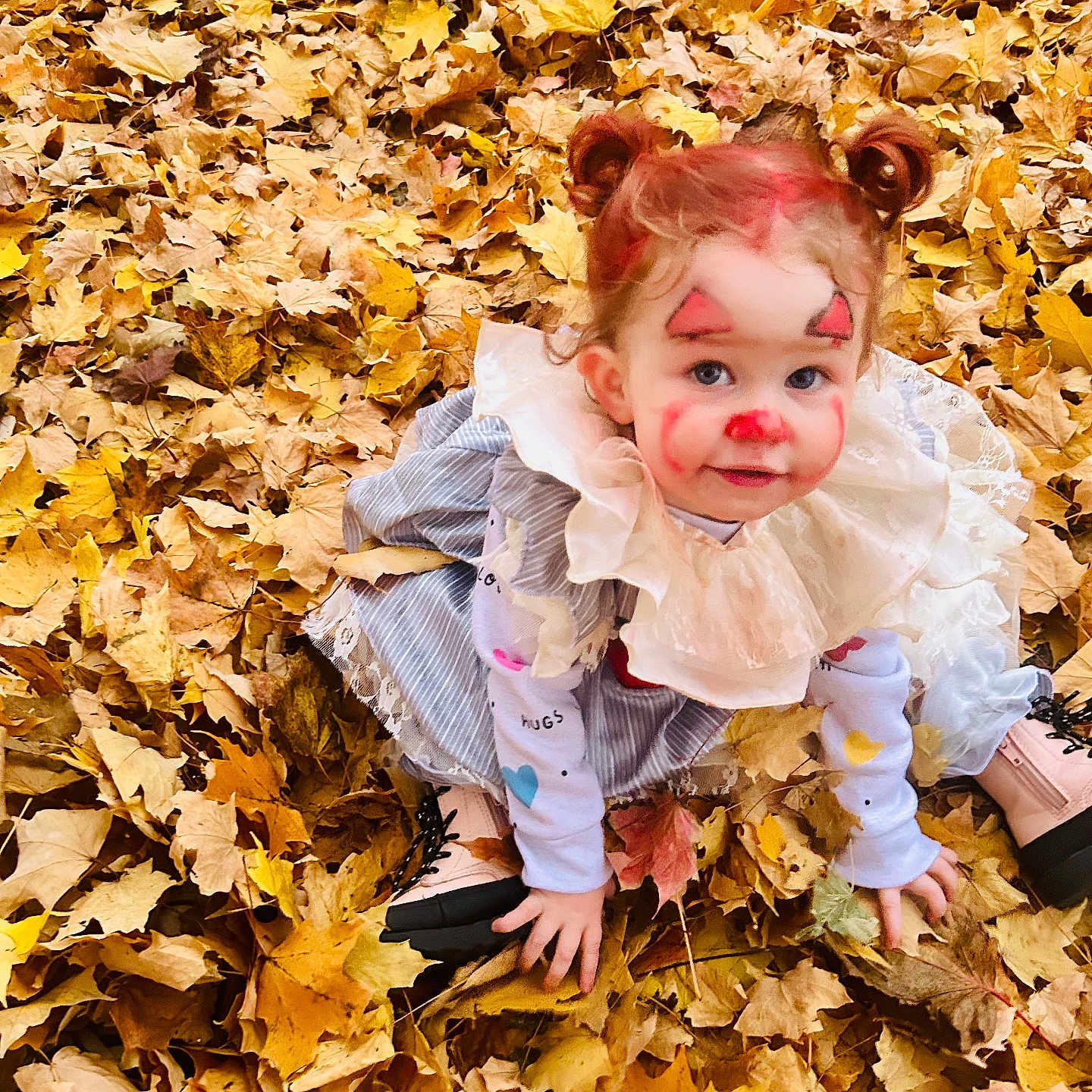 Skylar is registered to the contest to win money with this photo: autumn, baby, clothing, coat, costume, dress, face, grass, head, jacket, leaf, maple, mapleleaf, pants, person, photography, plant, portrait, tree, vegetation