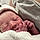 Darcey D.