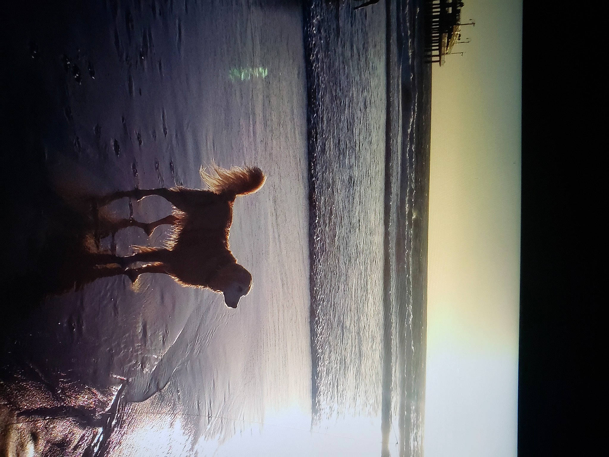 Beleve joined the competition — help win amazing prizes! art, backlighting, cloud, darkness, flash_photography, heat, human_body, people_in_nature, plant, recreation, reflection, shadow, sky, tints_and_shades, tree, visual_arts, water, wheel, window, wood