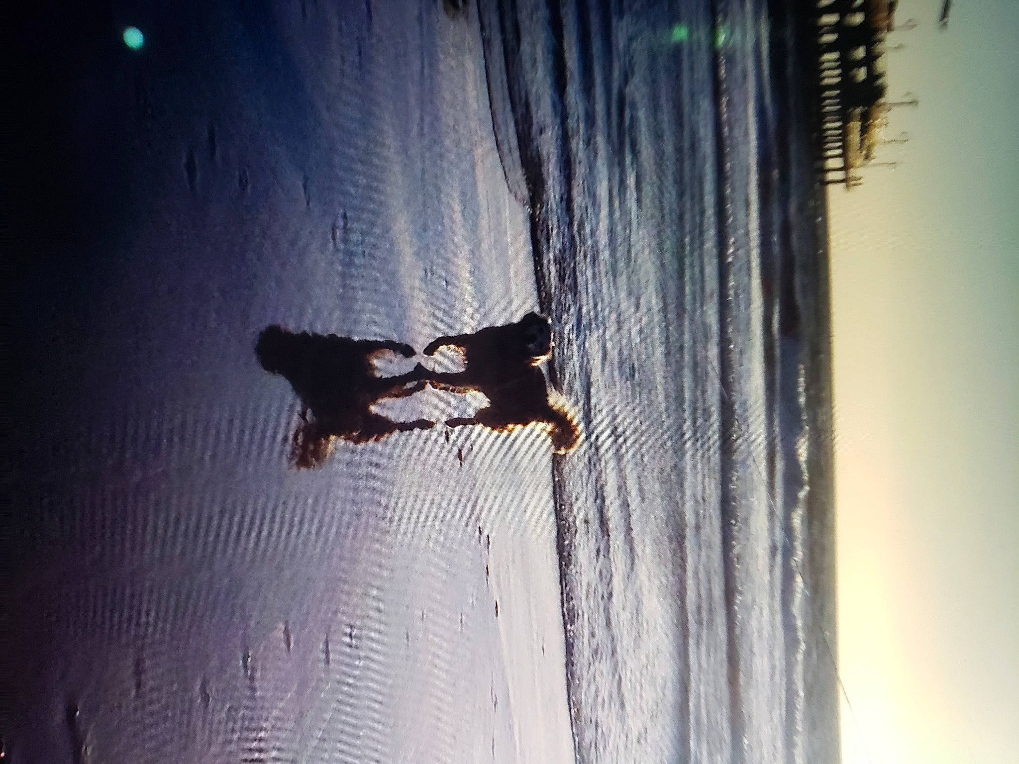 Beleve is registered to the contest to win money with this photo: adventure, azure, beach, cloud, electric_blue, extreme_sport, flash_photography, fun, horizon, landscape, ocean, recreation, shadow, sky, tints_and_shades, tree, water, wind_wave, winter, wood