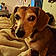 Marlee