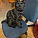 Thackery Binx