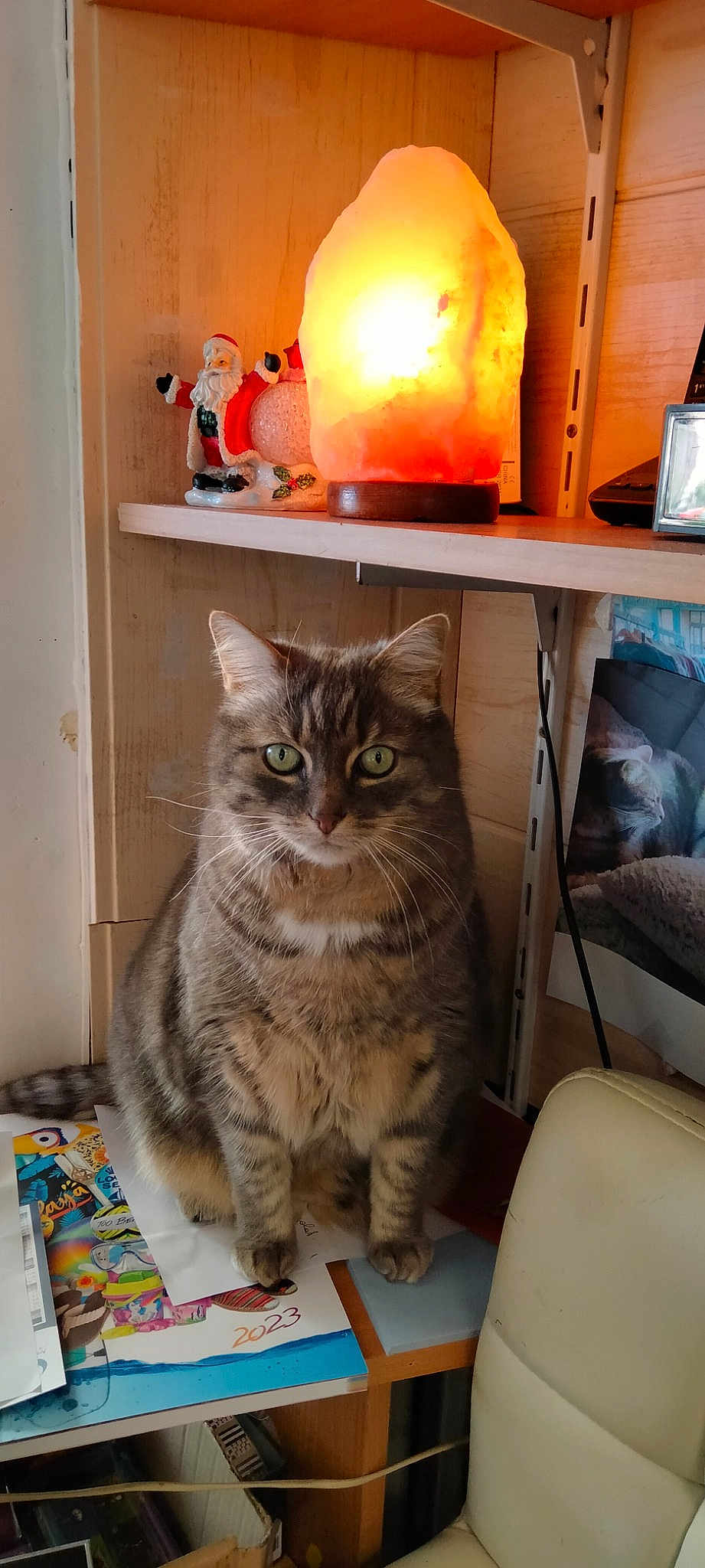 Lola