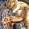 cat, orange_cat, sleeping, relaxed, fluffy, pet, animal, paws, pink_toe_beans, whiskers, belly, sunlight, bedroom, blanket, patterned_fabric, indoors, cute, close_up, resting, nap