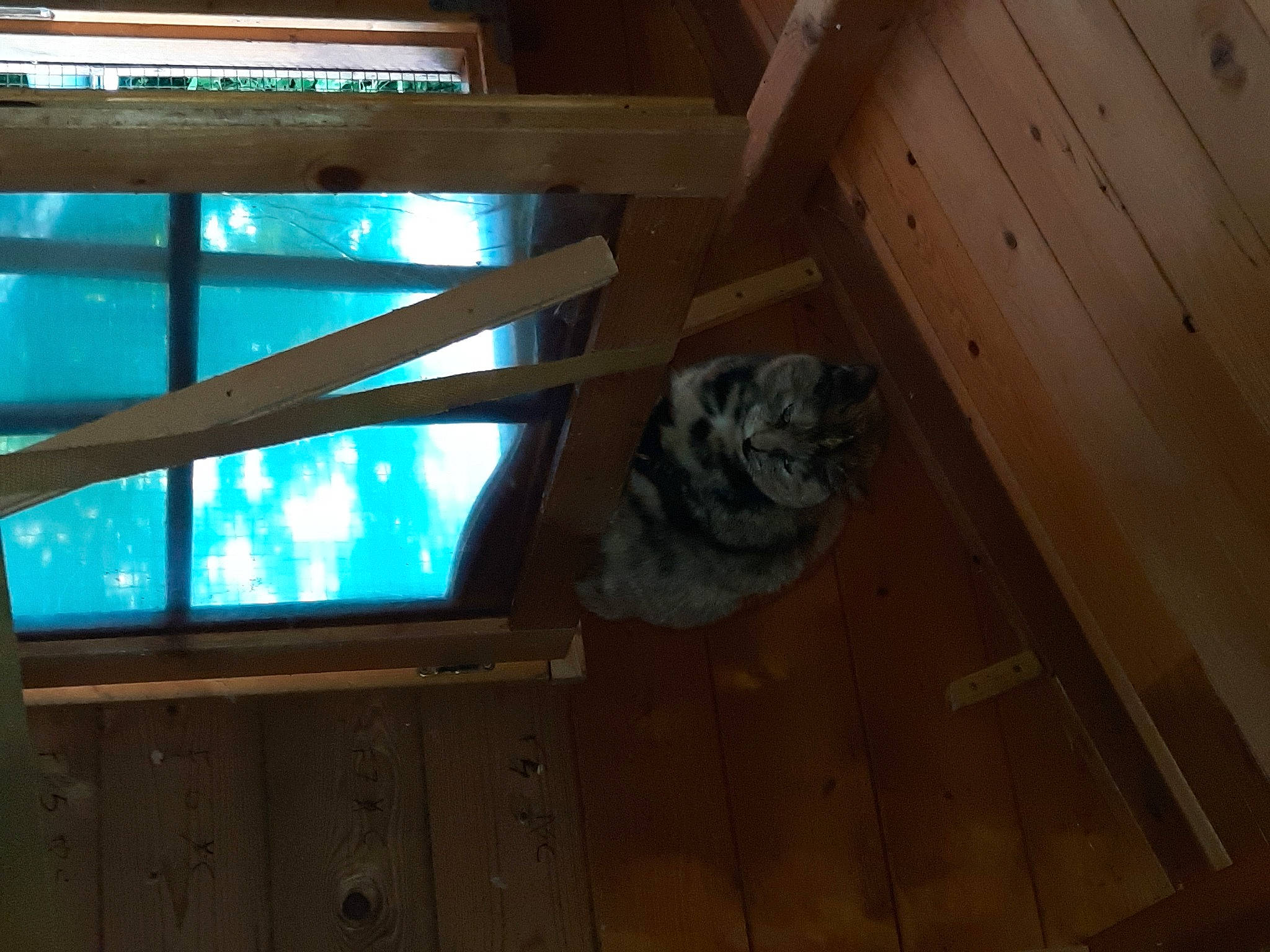 Marbrée a rejoint le concours — aidez-le/la à gagner de superbes lots ! beam, building, ceiling, floor, flooring, glass, hardwood, house, interior_design, lighting, plywood, property, room, stairs, tints_and_shades, wall, water, window, wood, wood_stain