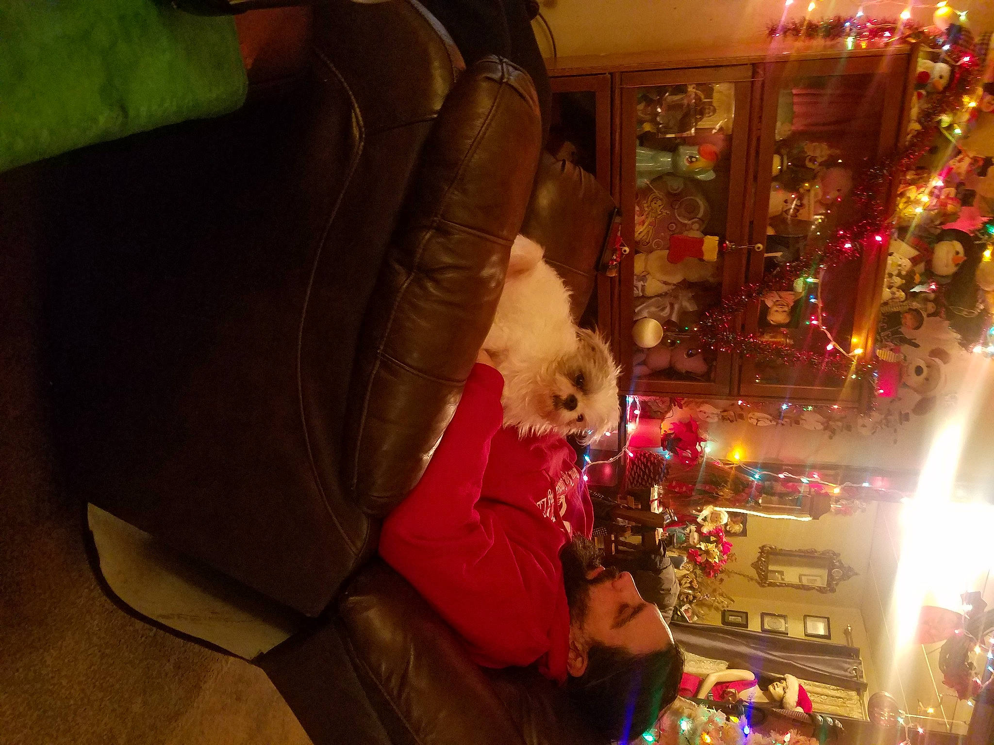 Sweetpea is registered to the contest to win money with this photo: armrest, christmas, christmas_decoration, christmas_eve, christmas_lights, christmas_ornament, festival, fur, fur_clothing, holiday, holiday_ornament, interior_design, leather, ornament, pillow, plush, stuffed_toy, teddy_bear, toy