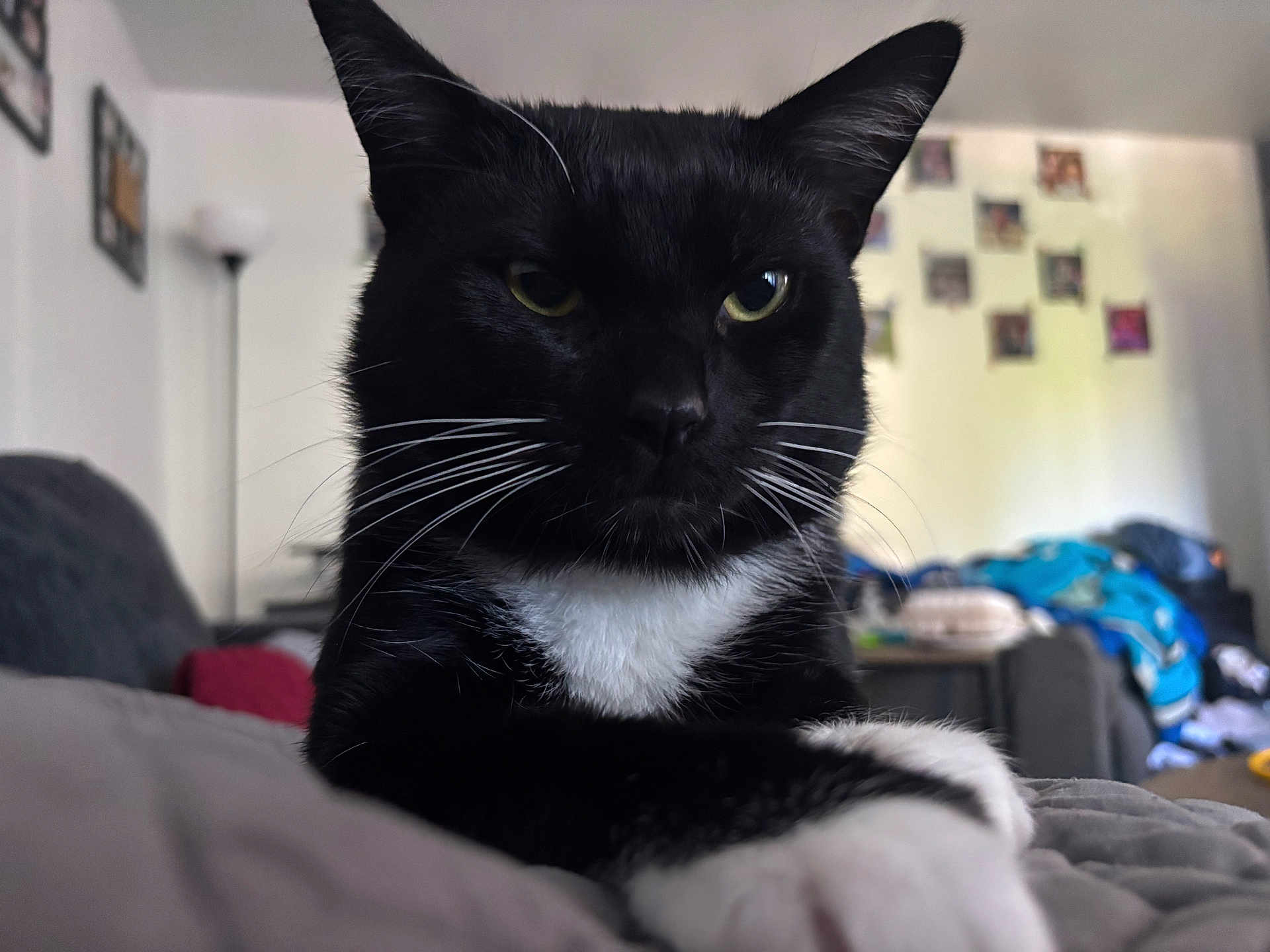 Max