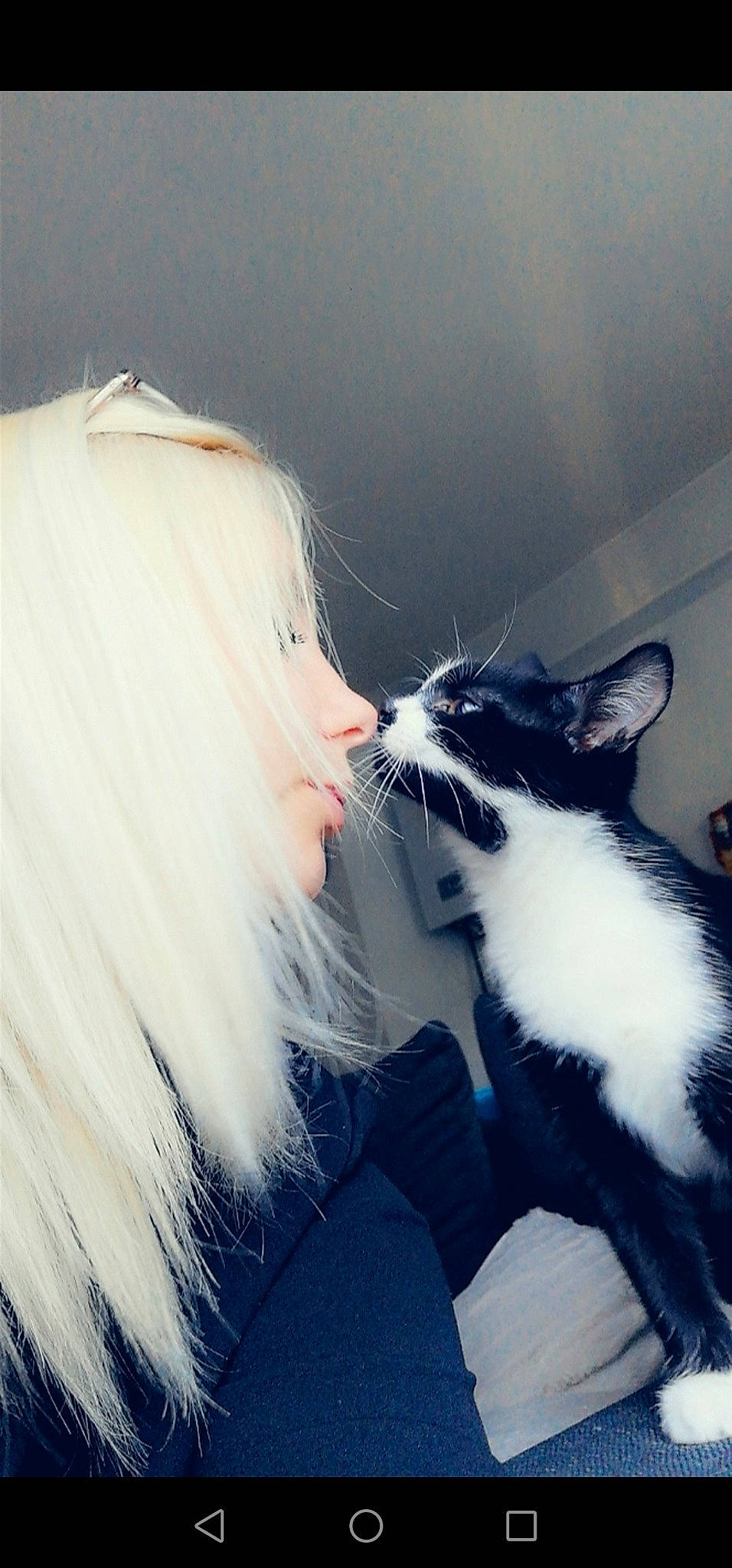 Moza participe au concours pour gagner de l'argent avec cette photo : black_and_white, black_hair, carnivore, cat, ear, felidae, fur, hair, kitten, long_hair, mouth, norwegian_forest_cat, nose, polydactyl_cat, small_to_medium_sized_cats, snout, tail, turkish_van, whiskers