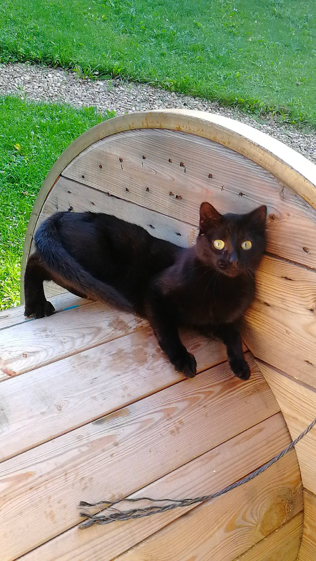 Panthère Maman De Pepite