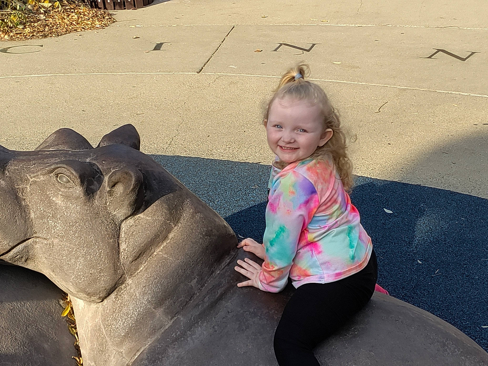 Dayona is registered to the contest to win money with this photo: asphalt, child, elephant, elephants_and_mammoths, fawn, fun, grass, hand, happy, indian_elephant, joy, landscape, leisure, person, recreation, road_surface, sand, smile, terrestrial_animal, toddler