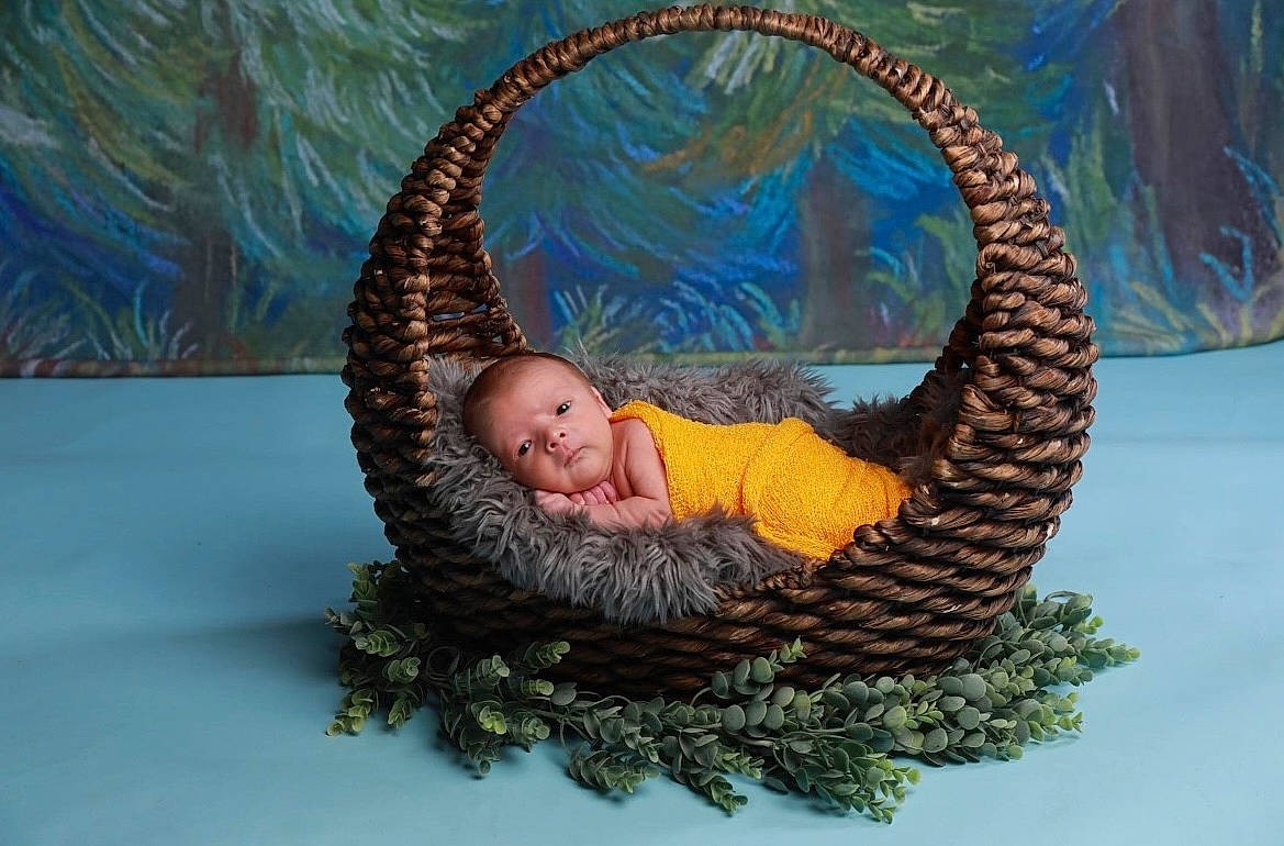 Bryson joined the competition — help win amazing prizes! art, basket, circle, conifer, eye, fashion_accessory, fun, grass, happy, landscape, leisure, organism, people_in_nature, person, plant, smile, tree, trunk, twig, winter