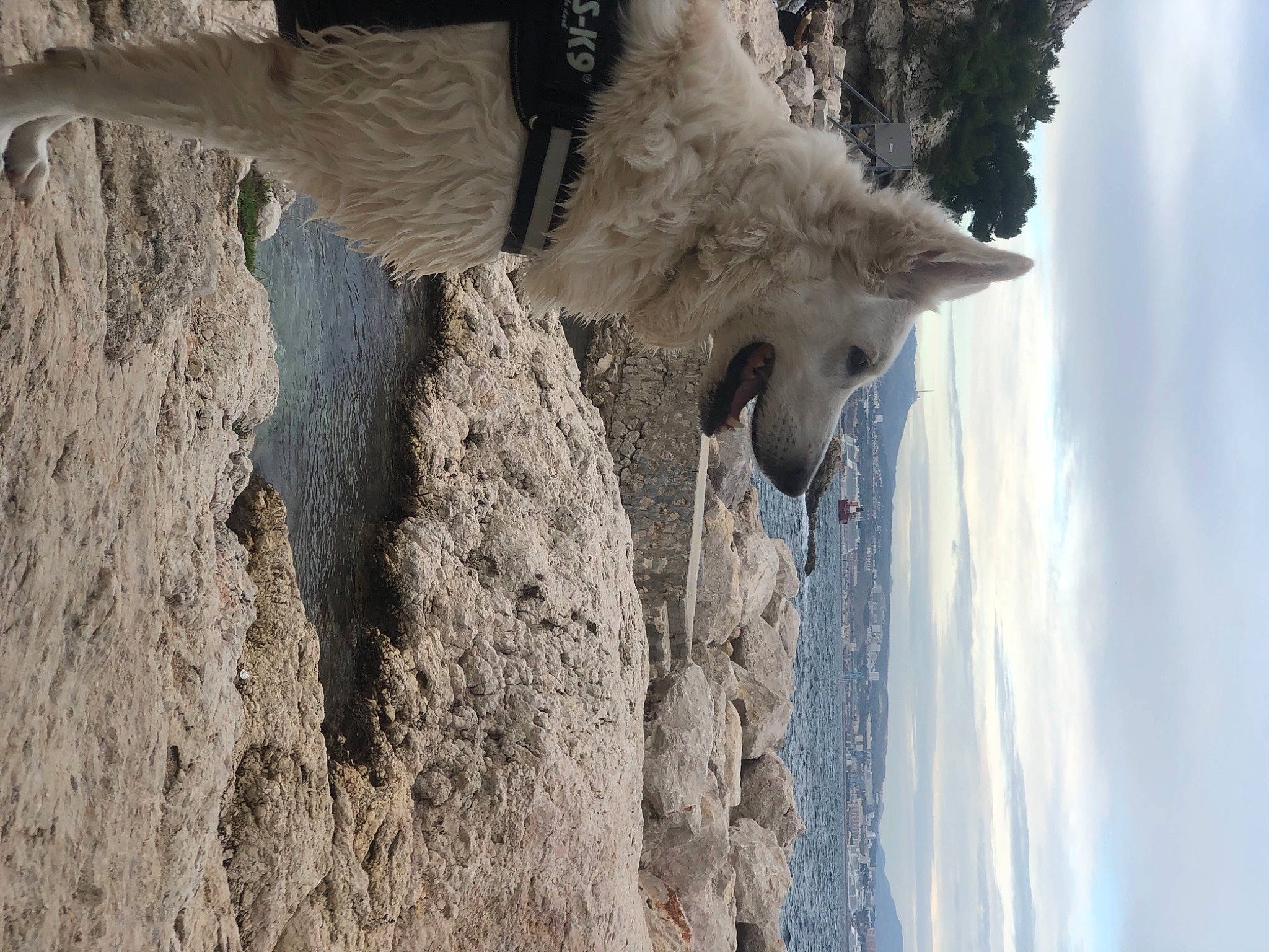 Jenna participe au concours pour gagner de l'argent avec cette photo : art, cloud, concrete, formation, freezing, frost, fur, geology, glacial_landform, grey, landscape, plant, rock, sculpture, sky, tree, trunk, water, winter, wood