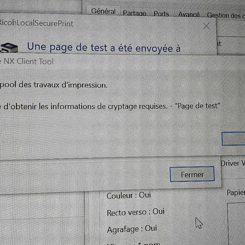 Elsa a rejoint le concours — aidez-le/la à gagner de superbes lots ! document, font, paper, parallel, receipt, text