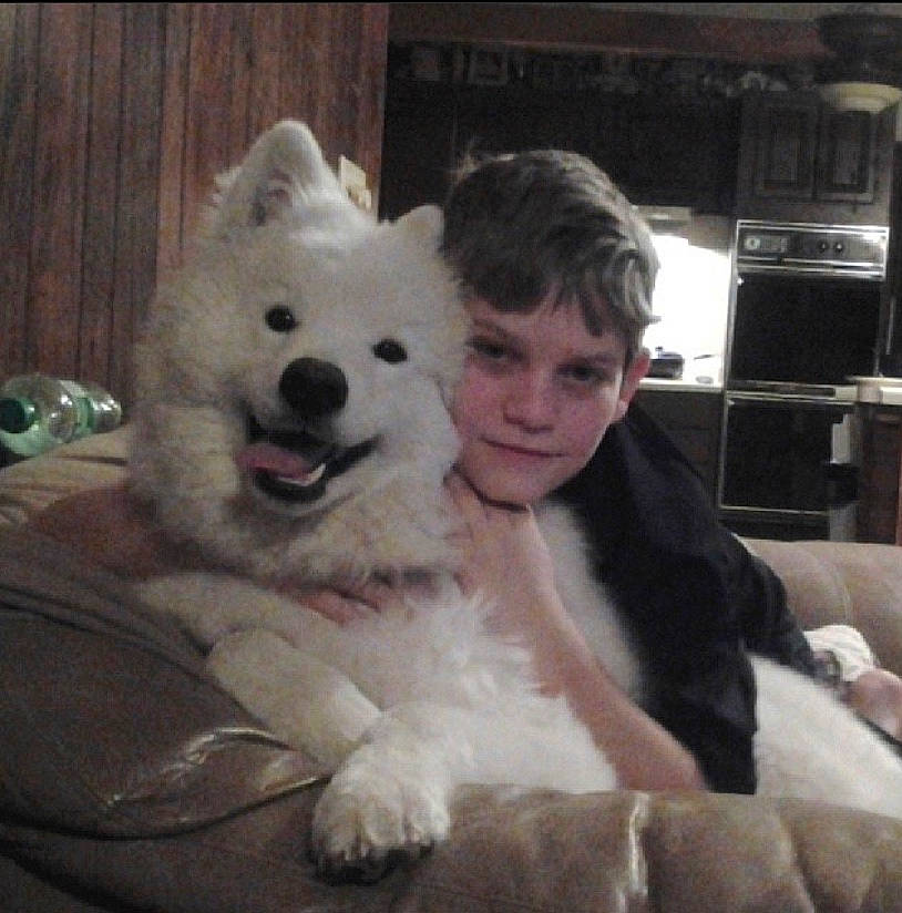 Hoosier is registered to the contest to win money with this photo: american_eskimo_dog, berger_blanc_suisse, canadian_eskimo_dog, canidae, carnivore, companion_dog, dog, dog_breed, german_spitz_mittel, head, indian_spitz, japanese_spitz, mammal, non_sporting_group, rare_breed_dog, samoyed, spitz, vertebrate, volpino_italiano, white_shepherd