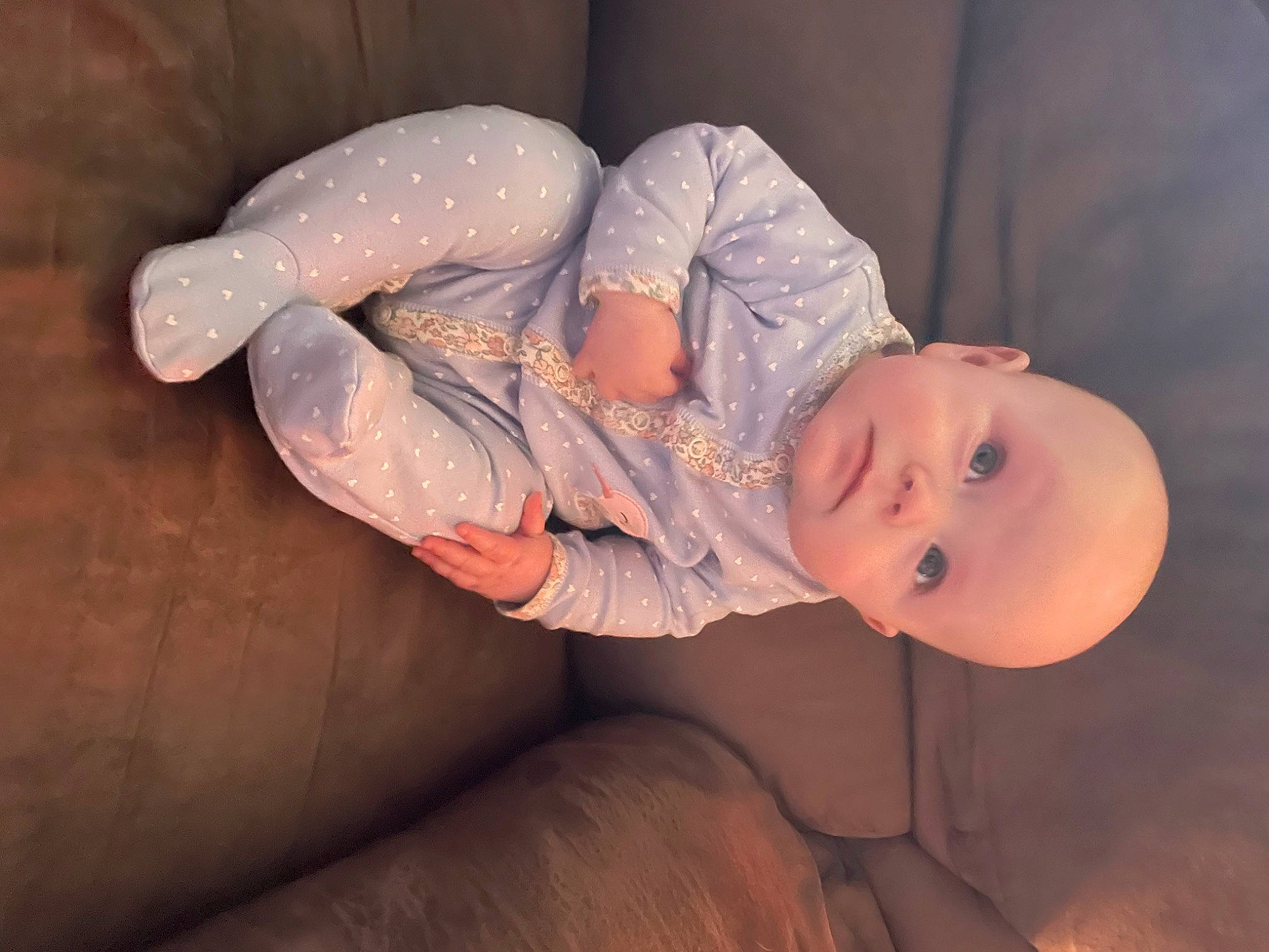 Onyx joined the competition — help win amazing prizes! abdomen, baby, baby_toddler_clothing, cheek, chest, comfort, elbow, eye, finger, flash_photography, gesture, hat, human_body, human_leg, nail, nose, person, plant, toddler, trunk