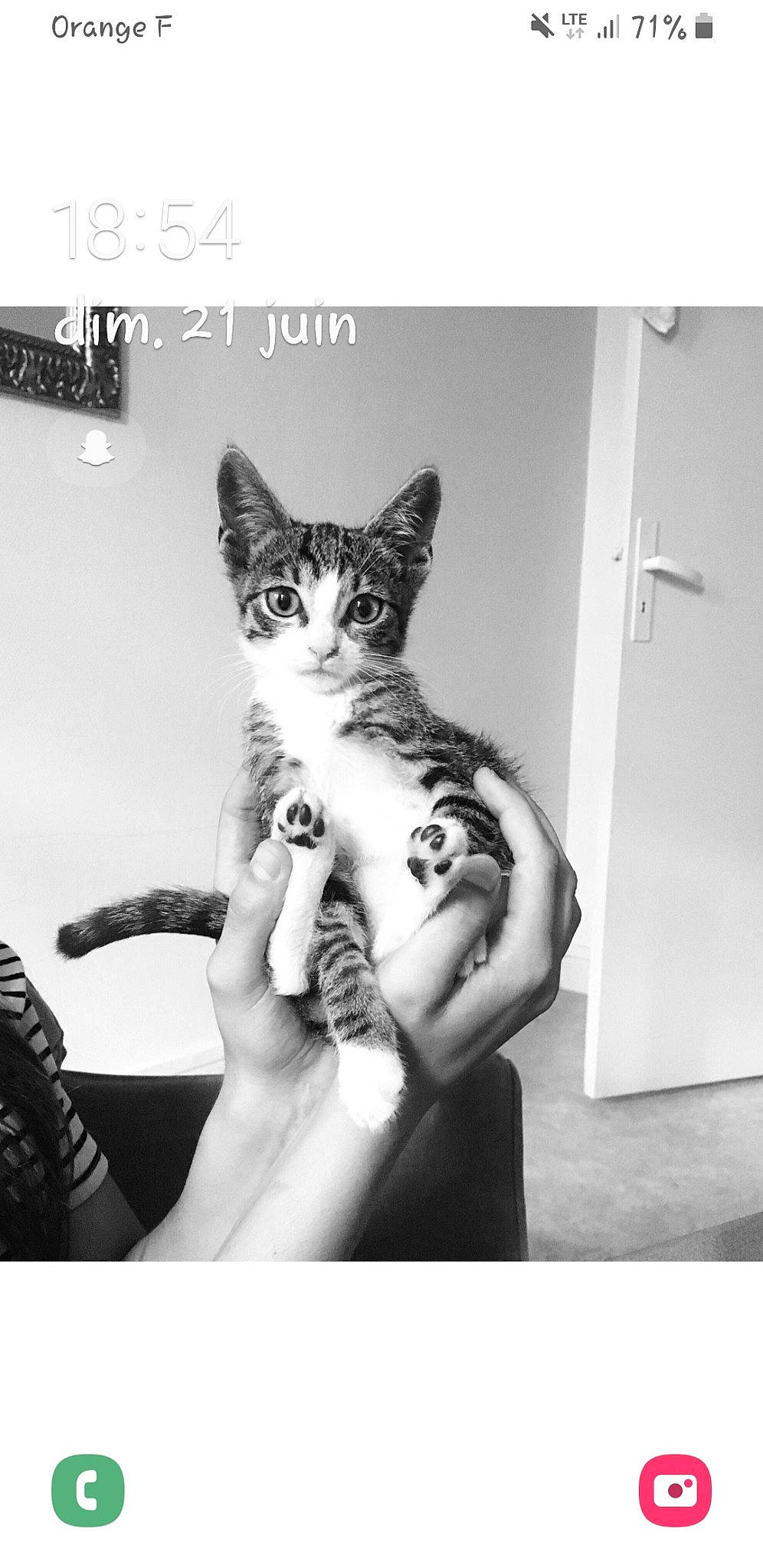 Gyzmo participe au concours pour gagner de l'argent avec cette photo : black_and_white, carnivore, cat, domestic_short_haired_cat, door, felidae, flash_photography, foot, fur, gesture, human_leg, monochrome, monochrome_photography, paw, photo_caption, small_to_medium_sized_cats, stock_photography, style, tail, whiskers