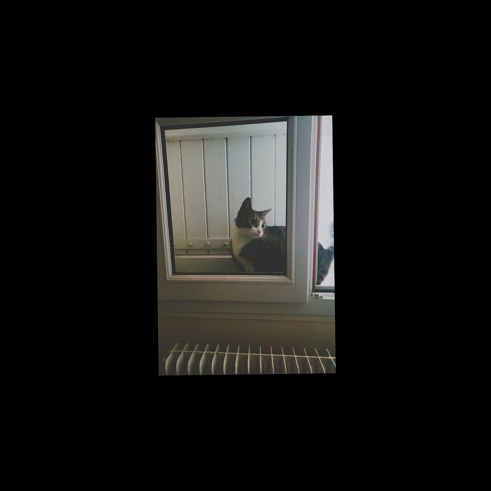 Gyzmo participe au concours pour gagner de l'argent avec cette photo : building, ceiling, darkness, daylighting, event, fixture, flash_photography, flooring, font, glass, monochrome, monochrome_photography, rectangle, sash_window, still_life_photography, symmetry, tints_and_shades, visual_arts, window, wood