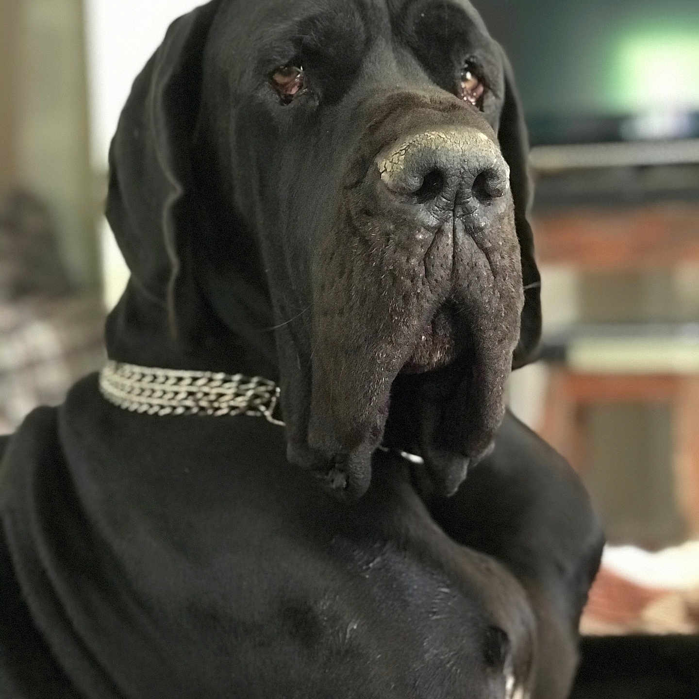 Clyde