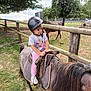 Olivia participe au concours pour gagner de l'argent avec cette photo : child, pony, helmet, horse, fence, outdoor, grass, tree, animal, pet, riding, nature, pasture, young, person, daytime, saddle, equestrian, cute, leisure
