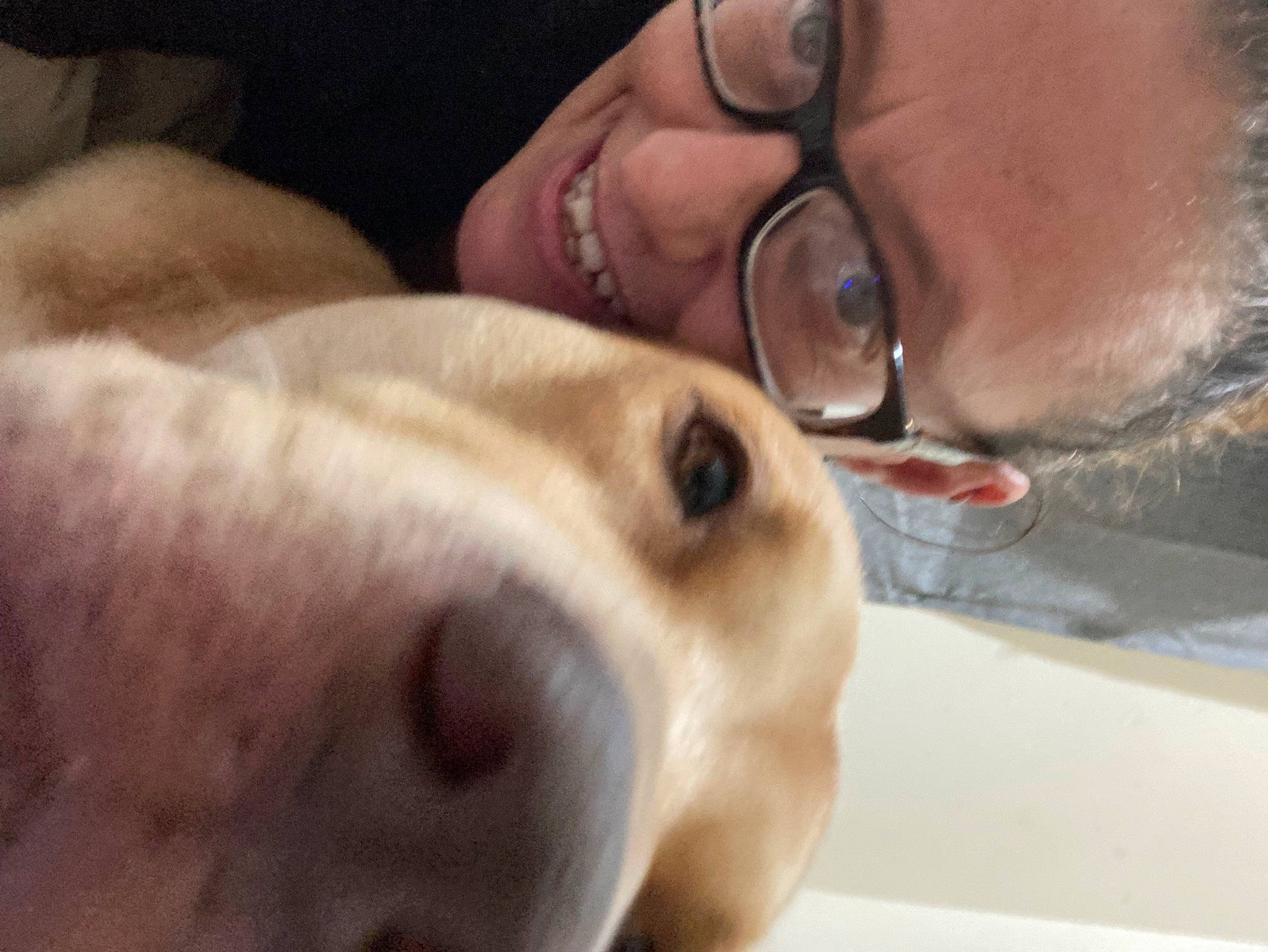 Brawley Ball is registered to the contest to win money with this photo: carnivore, comfort, companion_dog, dog, dog_breed, ear, eyewear, fawn, gesture, glasses, human_body, jaw, mouth, nose, selfie, smile, snout, vision_care, whiskers, wrinkle