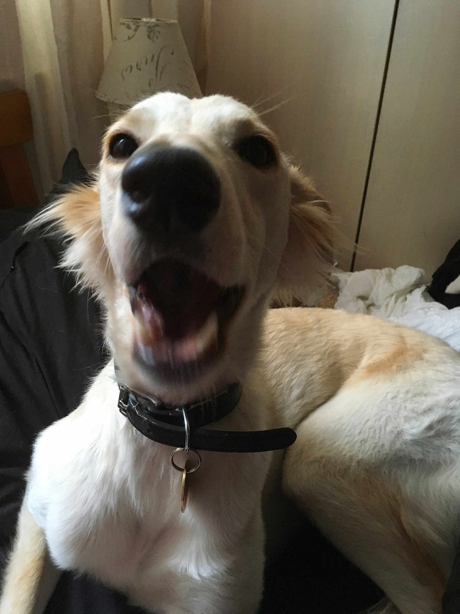 Tilda