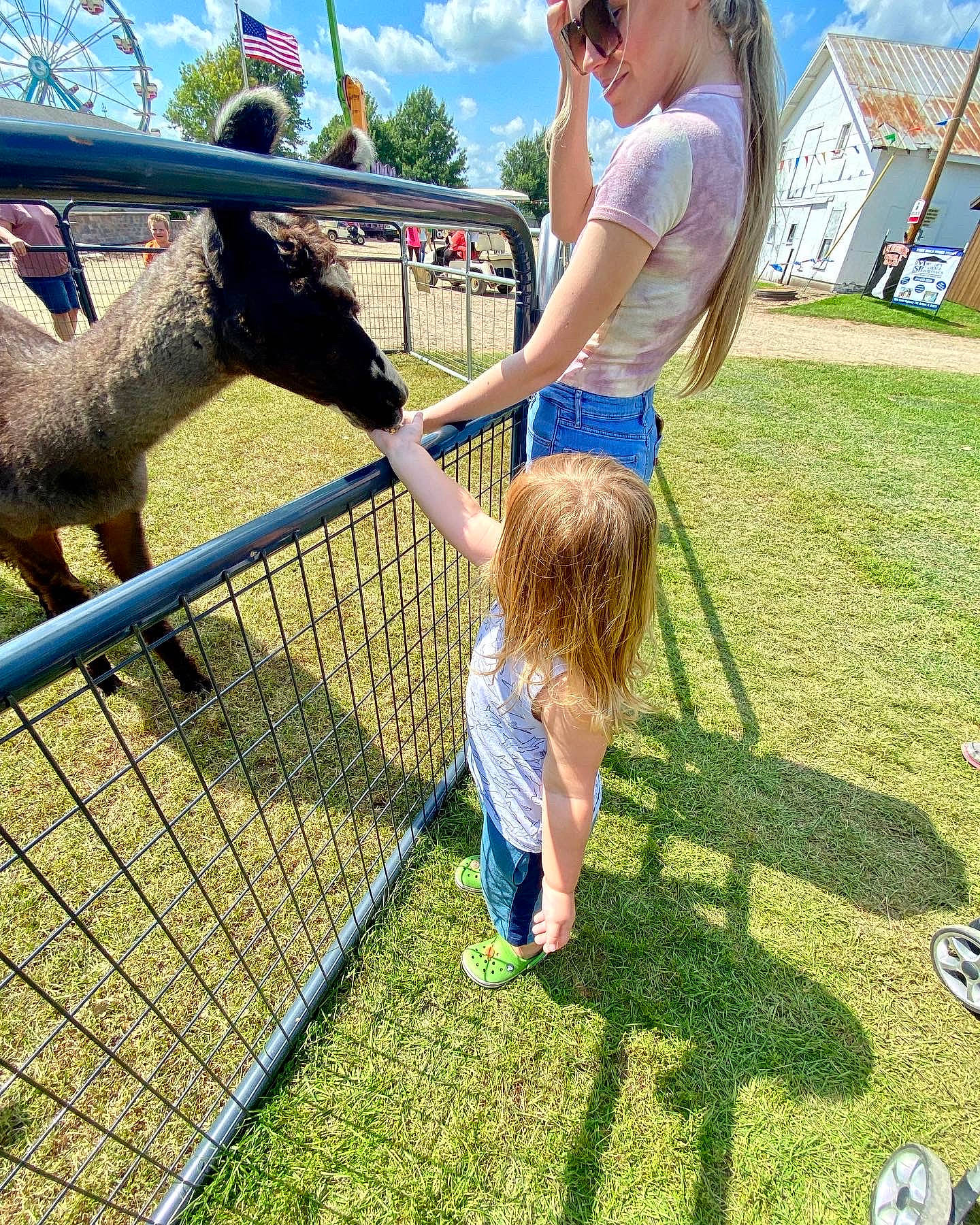 Julian joined the competition — help win amazing prizes! ball, cloud, fence, fun, grass, grassland, landscape, leisure, livestock, outdoor_play_equipment, people_in_nature, person, plant, recreation, shorts, sky, swing, toddler, tree, wire_fencing