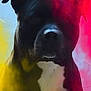 dog, black_dog, white_chest, smoke, colored_smoke, yellow_smoke, red_smoke, indoors, portrait, pet, animal, canine, mysterious, shadow, dramatic_lighting, closeup, face, ears, snout, fur