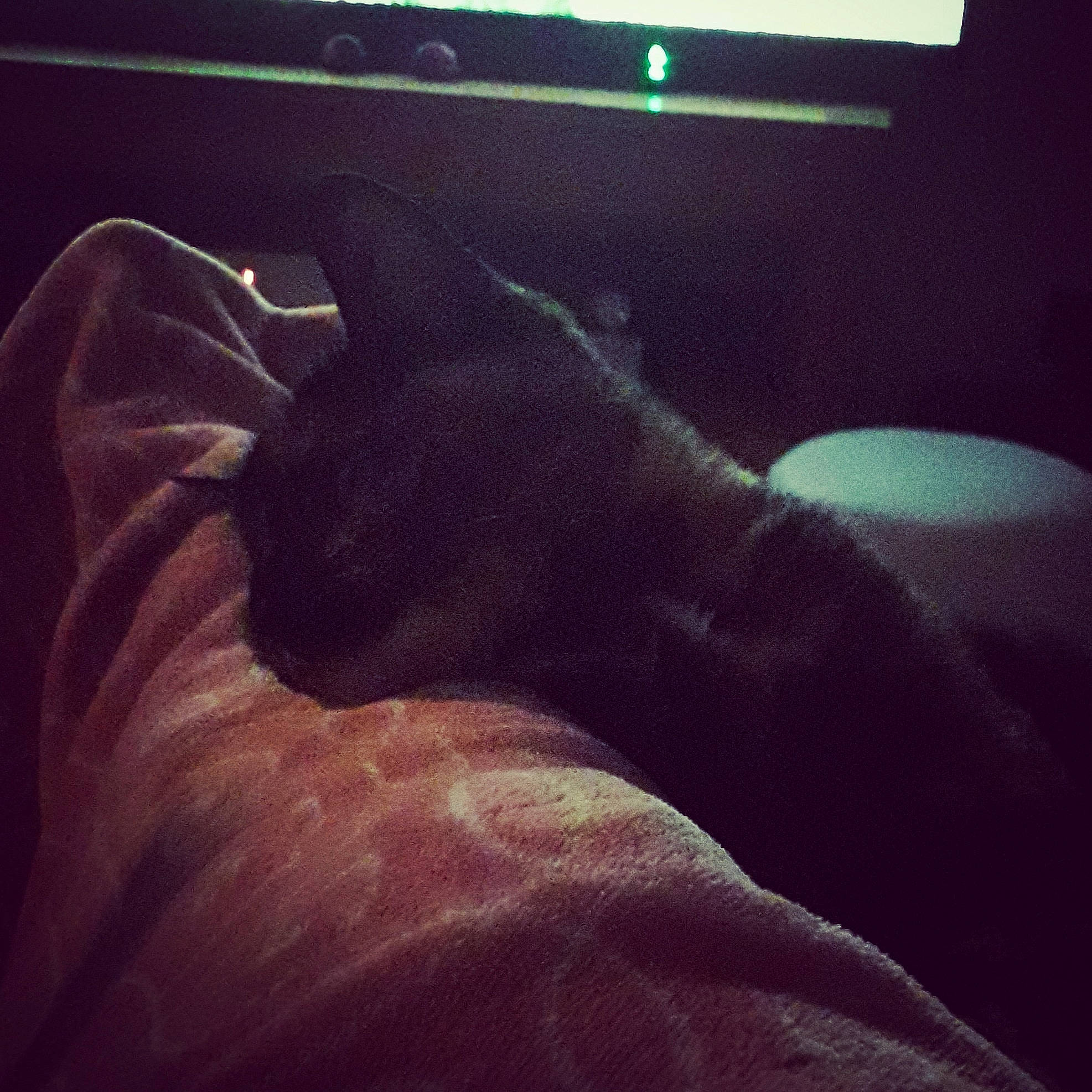 Lou a rejoint le concours — aidez-le/la à gagner de superbes lots ! arm, black, finger, flesh, hand, joint, leg, light, photography, sky, space, square