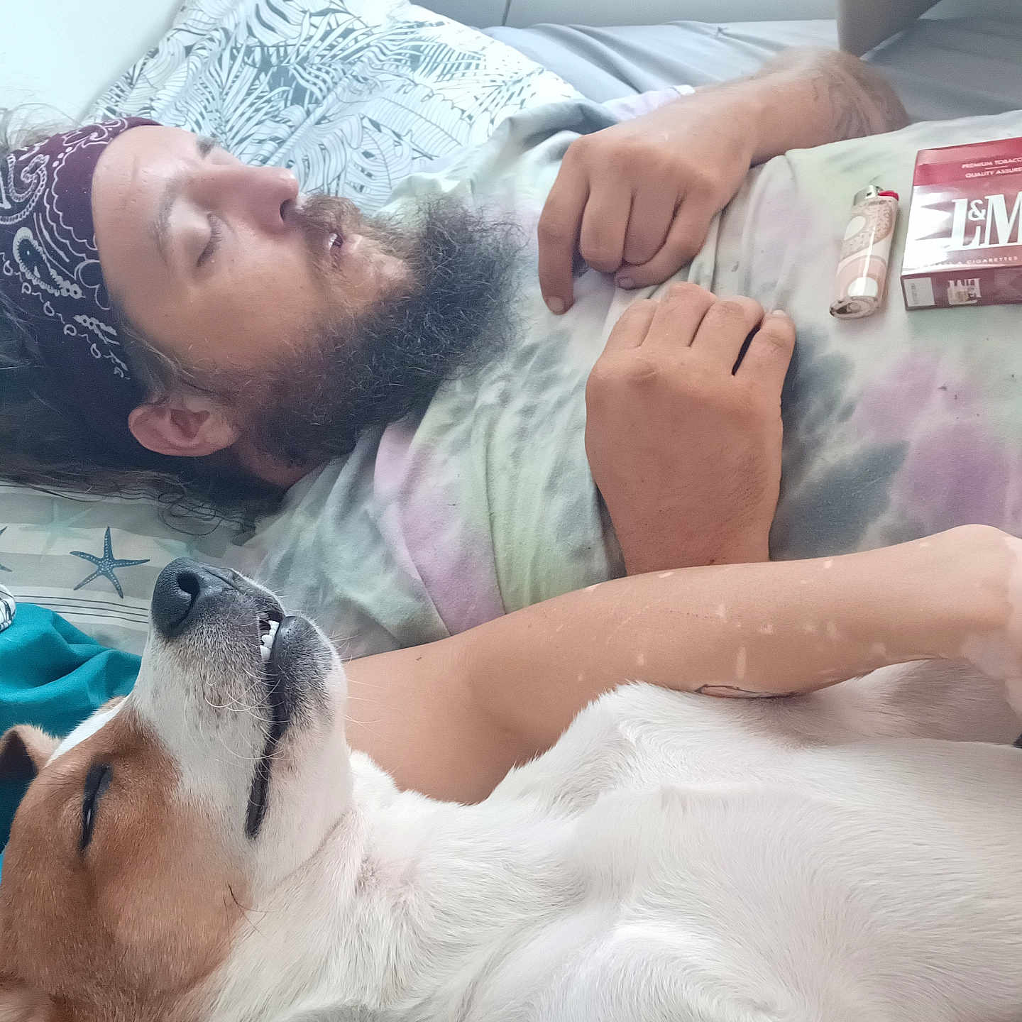 Doobie is registered to the contest to win money with this photo: accessories, adult, animal, bodypart, canine, couch, cushion, dog, face, finger, furniture, hand, head, homedecor, male, man, person, pet, photography, portrait