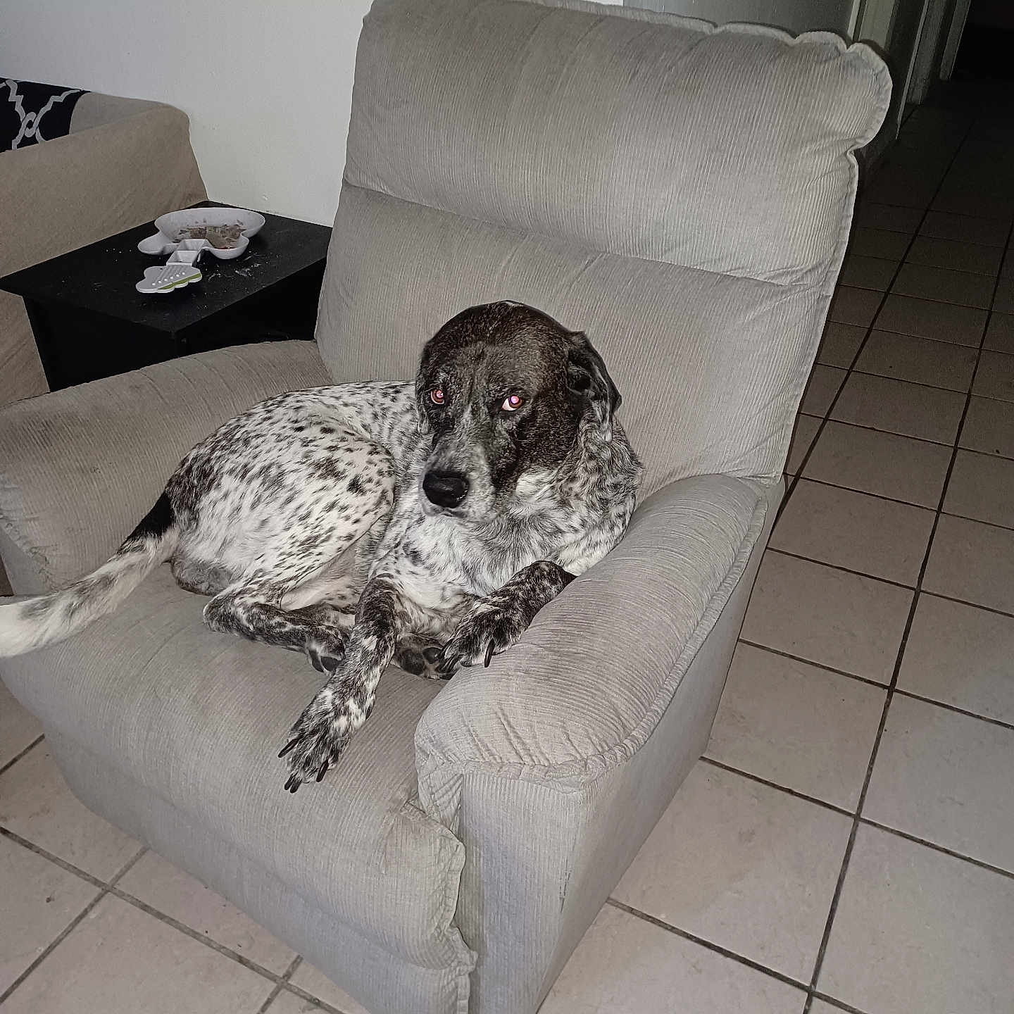Ruca