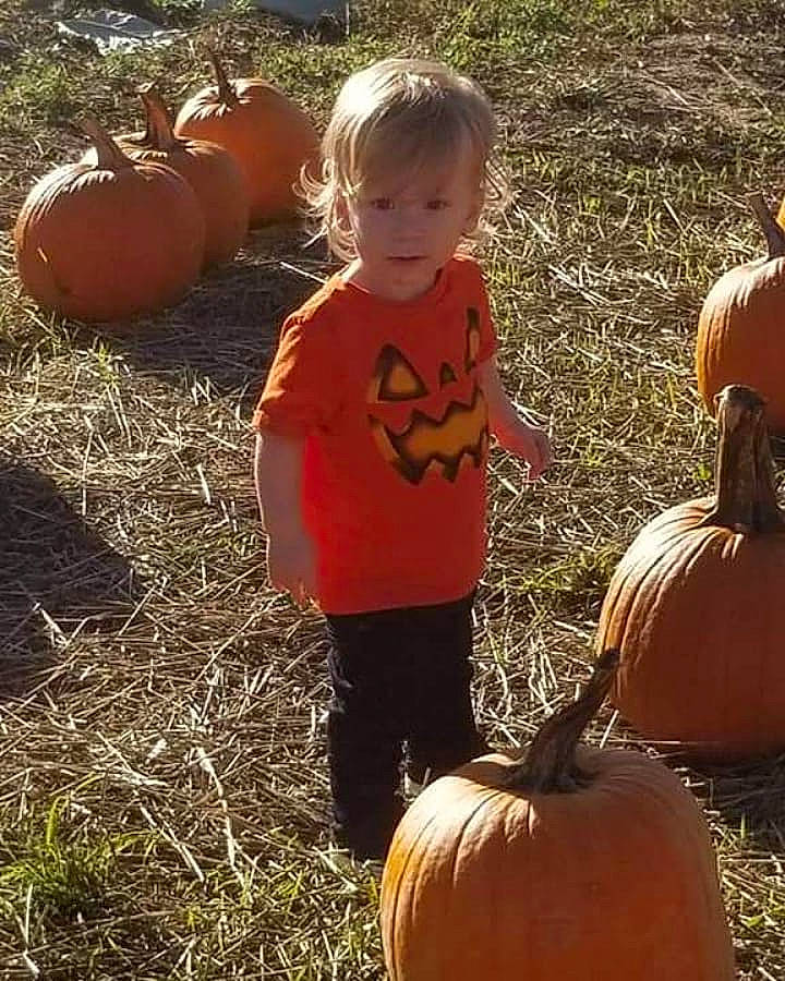Conner joined the competition — help win amazing prizes! calabaza, child, cucurbita, fruit, gourd, grass, person, plant, pumpkin, squash, toddler, vegetable, winter_squash