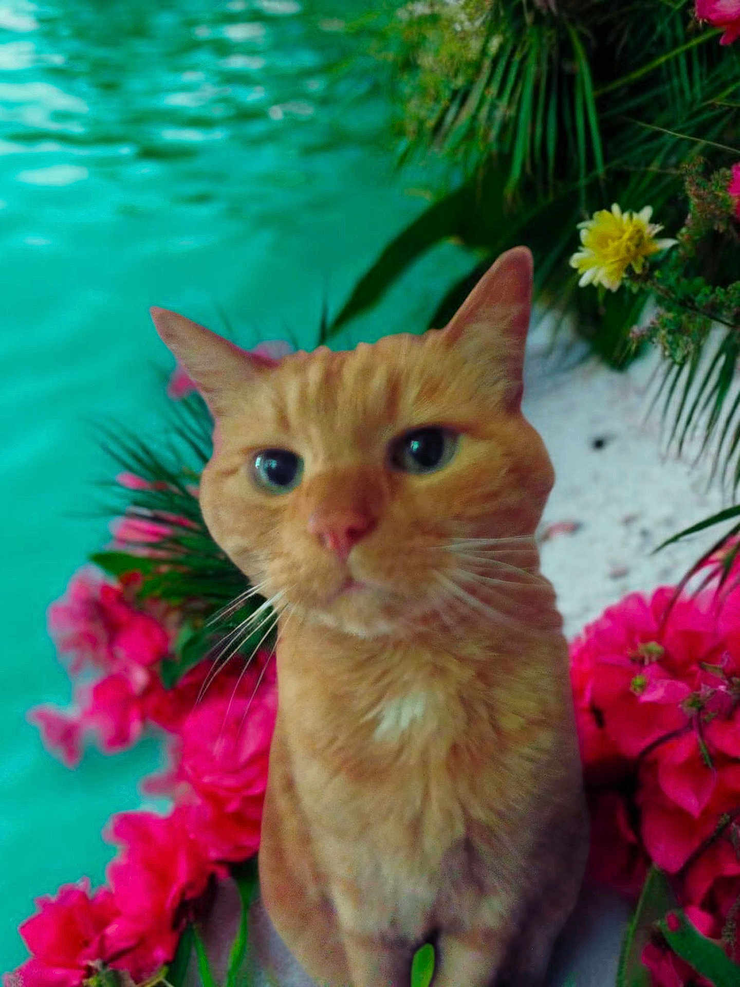 Caramel
