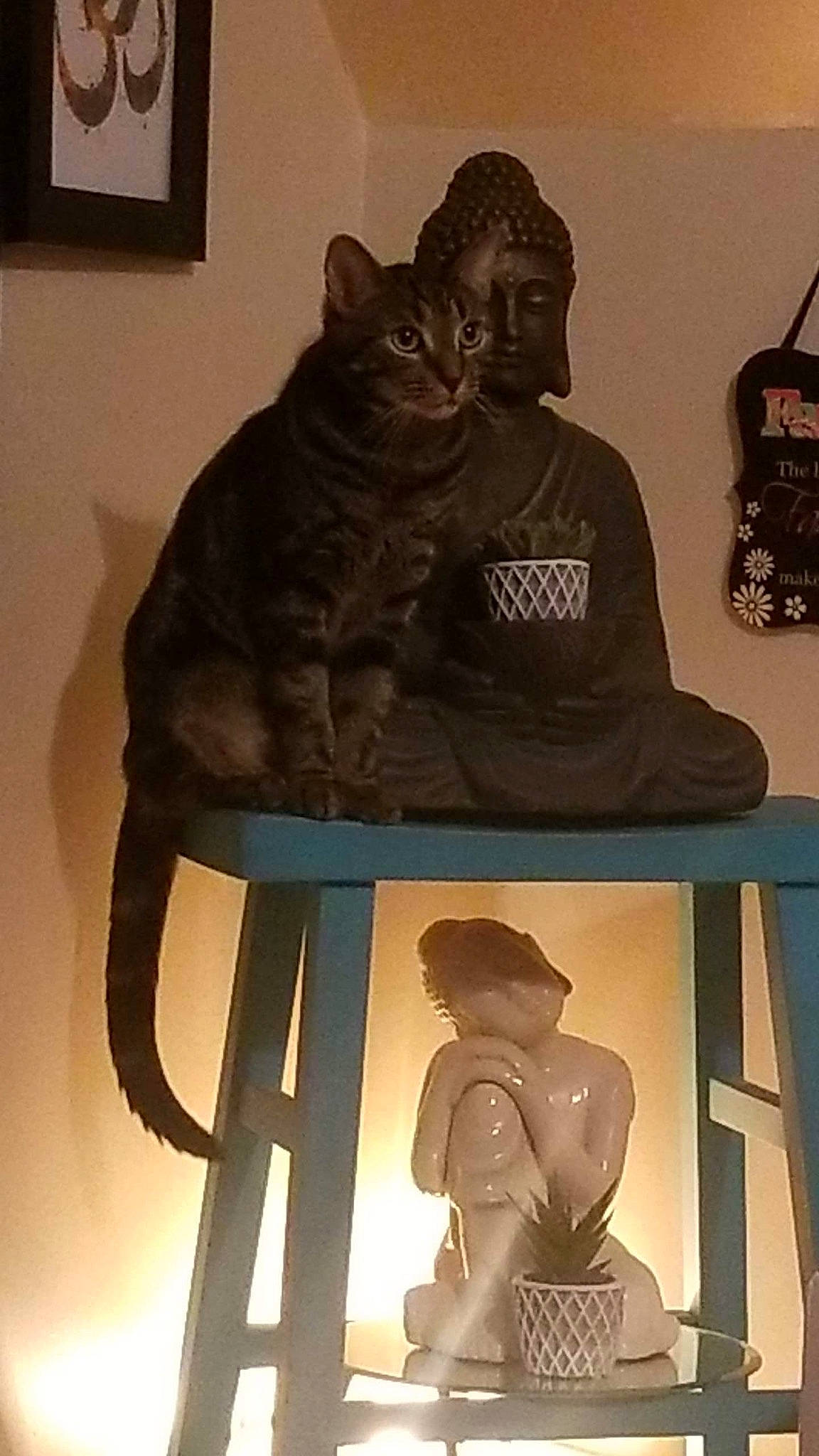 Keano is registered to the contest to win money with this photo: art, asian, bronze_sculpture, cat, felidae, sculpture, sitting, small_to_medium_sized_cats, statue