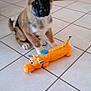 Stella a rejoint le concours — aidez-le/la à gagner de superbes lots ! puppy, dog, toy, plush, orange, floor, tile, indoor, pet, cute, animal, fur, ears, tail, playful, young, brown, black, white, home