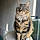 Minette
