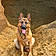 Roxie