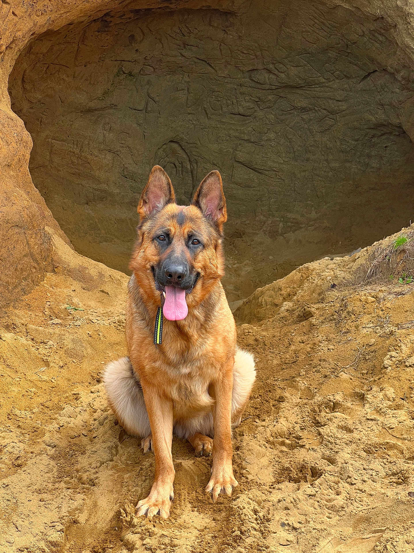 Roxie joined the competition — help win amazing prizes! dog, german_shepherd, animal, pet, outdoor, sand, cave, nature, tongue_out, ears_up, sitting, adventure, canine, mammal, happy, brown, fur, portrait, alert, companion