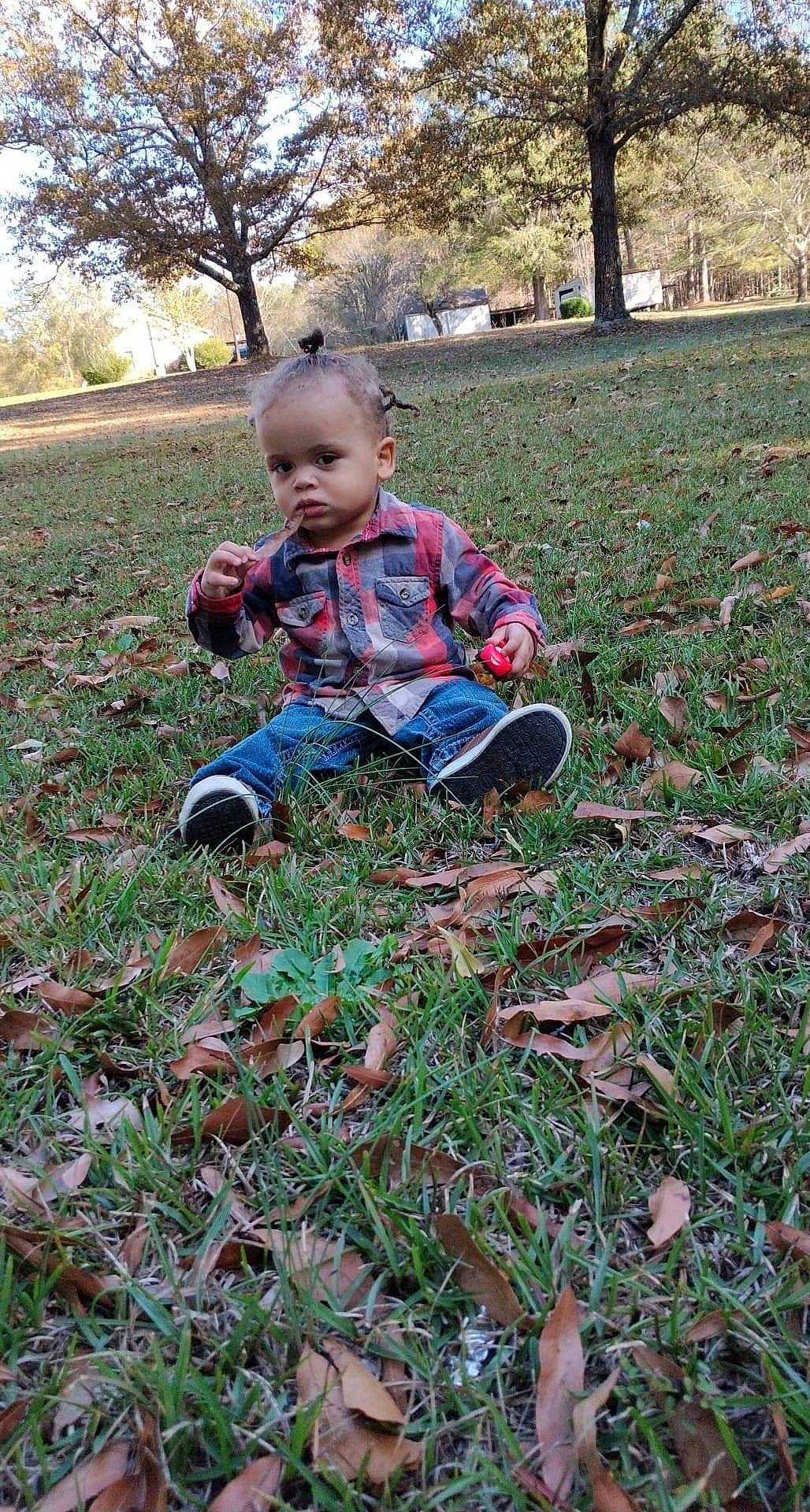 Kenzleigh joined the competition — help win amazing prizes! baby, baby_toddler_clothing, carmine, child, deciduous, garden, gardening, grass, grass_family, groundcover, lawn, leaf, pattern, people_in_nature, person, plant, sitting, soil, toddler, tree