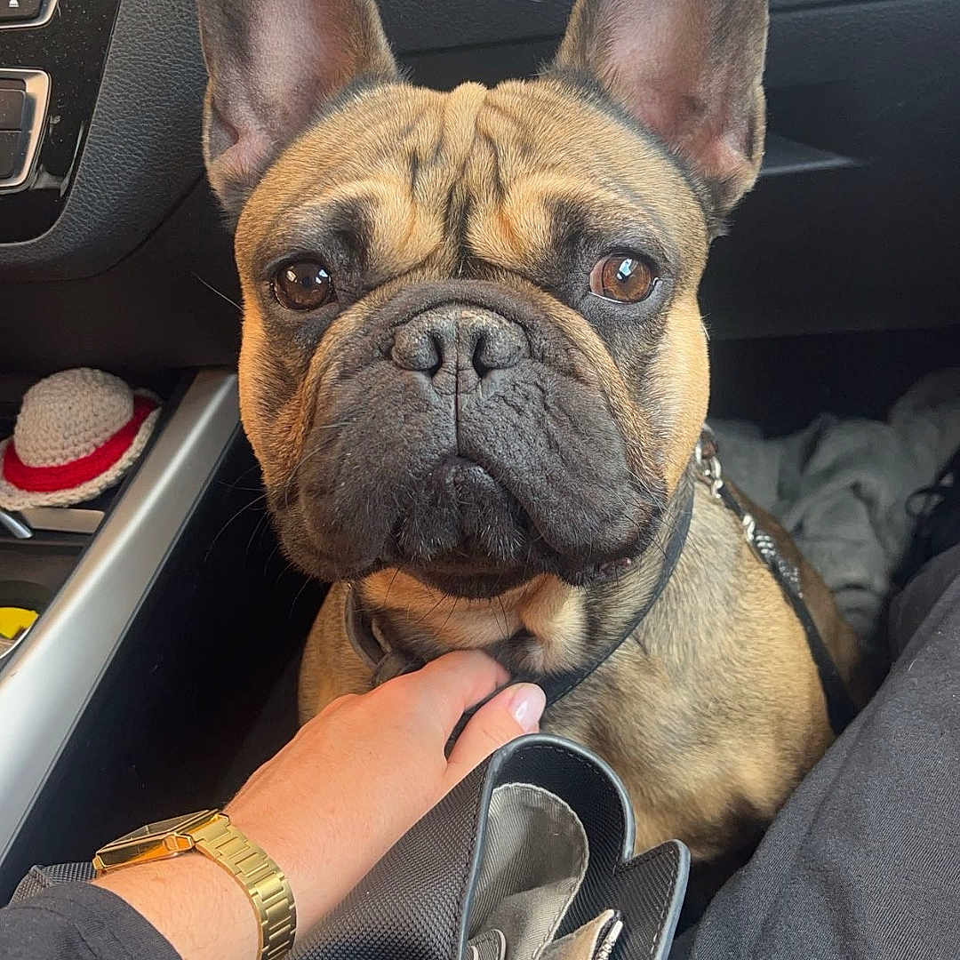 Sergio
