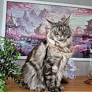 Ulys participe au concours pour gagner de l'argent avec cette photo : cat, fluffy_cat, tabby_cat, tongue_out, wooden_surface, indoor, plant, leafy_plant, painting, framed_art, asian_art, decor, furniture, pet, animal, portrait, sitting, gray_cat, long_hair, whiskers