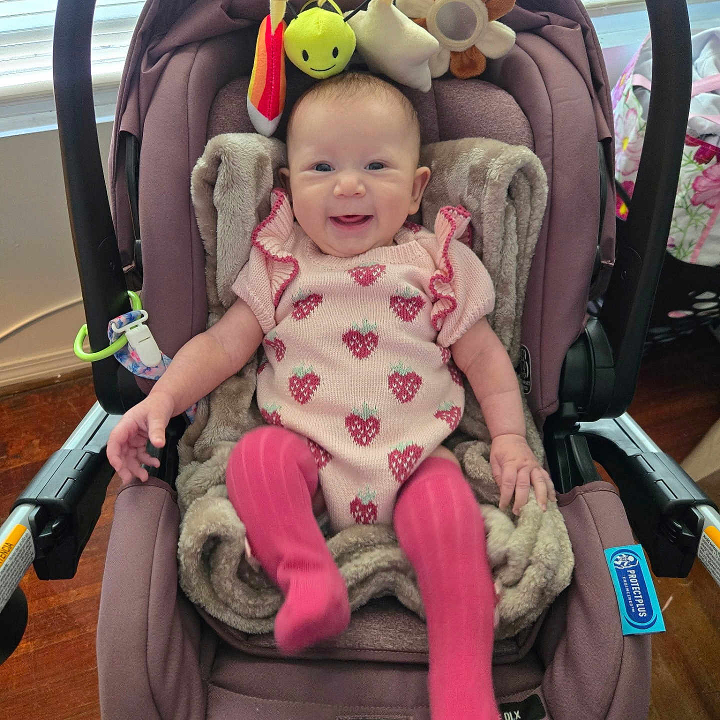 Adaline