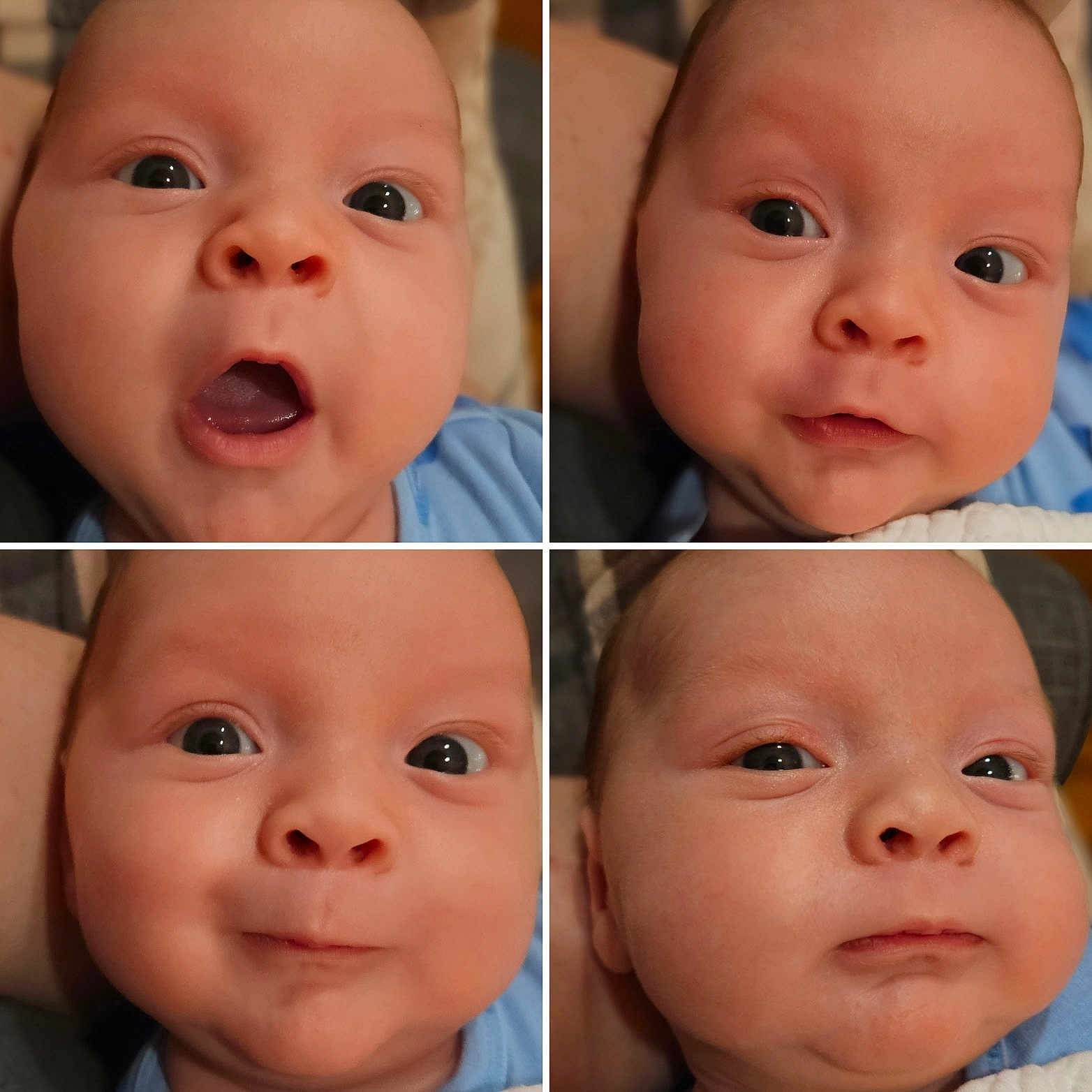 Bruce joined the competition — help win amazing prizes! art, baby, bodypart, collage, face, happy, head, jaw, kissing, laughing, mouth, newborn, person, photography, portrait, romantic, teeth, tongue