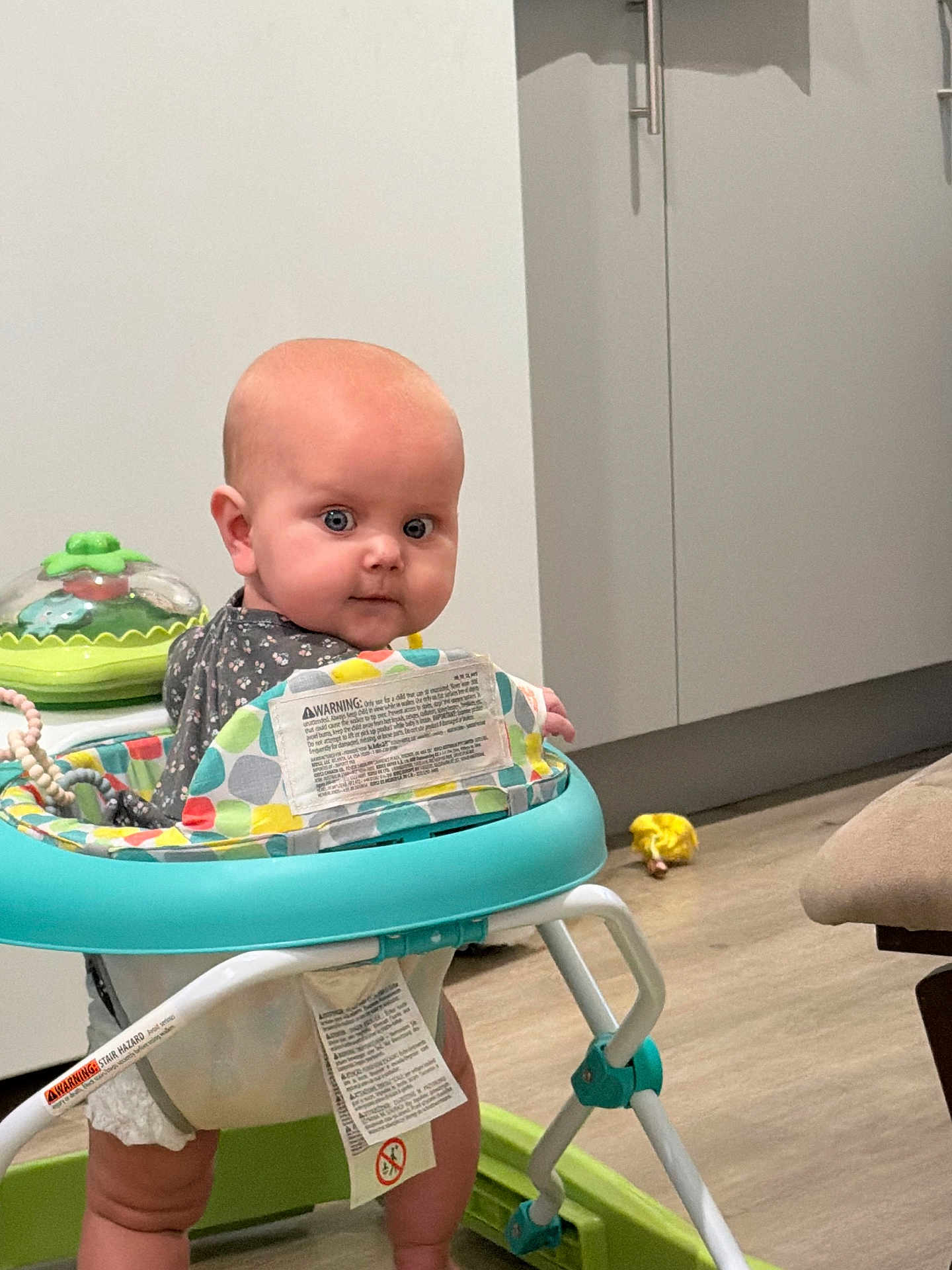 Gwendolyn joined the competition — help win amazing prizes! baby, infant, walker, toy, indoor, kitchen, floor, diaper, sitting, looking_back, curious, blue_eyes, bald, clothing, plastic, plaything, cabinet, wooden_floor, gaze, home