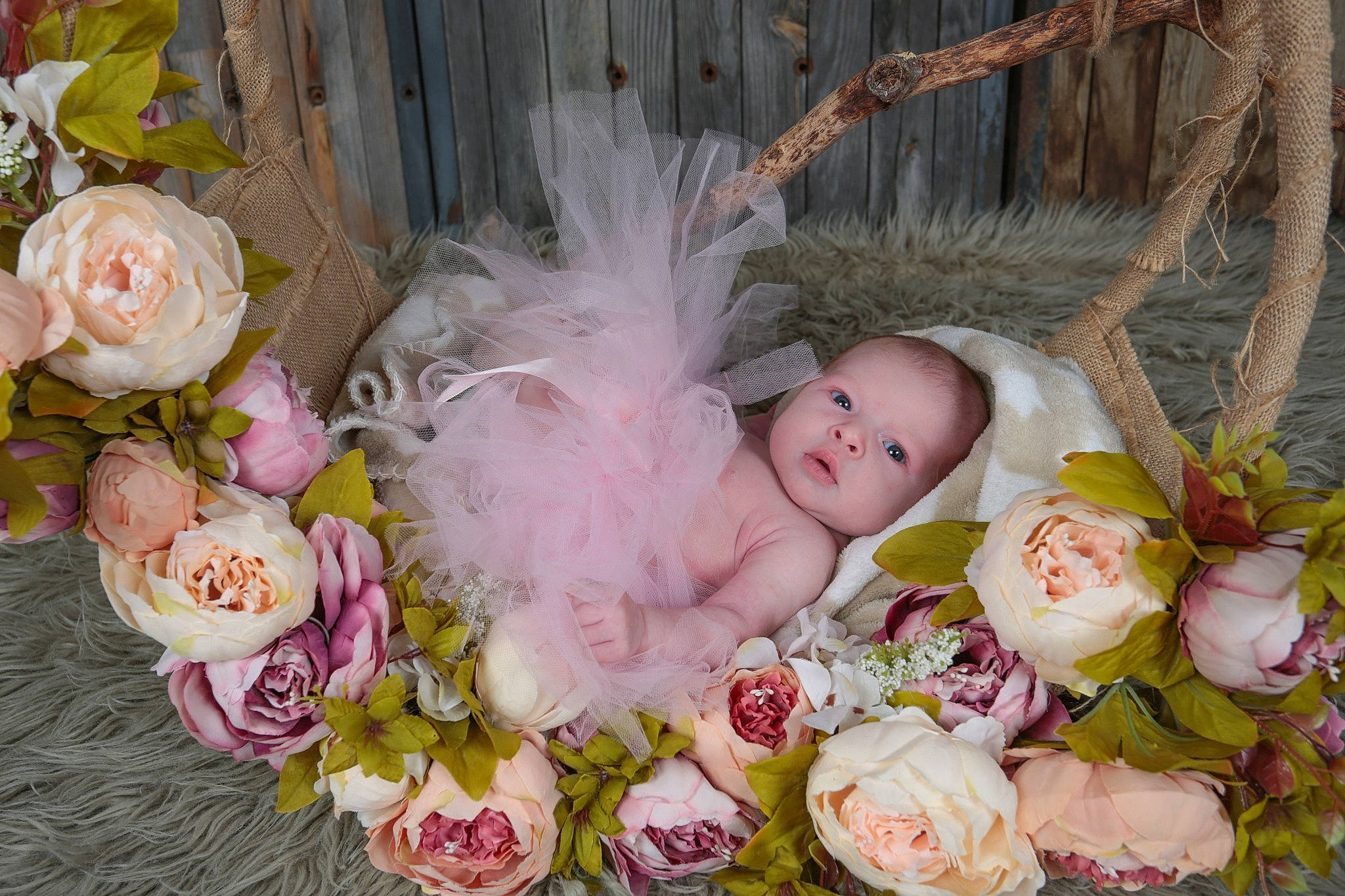 Phénicia a rejoint le concours — aidez-le/la à gagner de superbes lots ! artificial_flower, baby, botany, child, cut_flowers, event, flower, flower_arranging, flowering_plant, grass, person, petal, pink, plant, rosa_centifolia, rose, rose_family, rose_order, spring, toddler