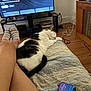 cat, sleeping, person, legs, striped_socks, blanket, quilt, tv_screen, remote_control, wooden_floor, furniture, cable, electronics, relaxation, indoor, home, comfort, pet, resting, casual