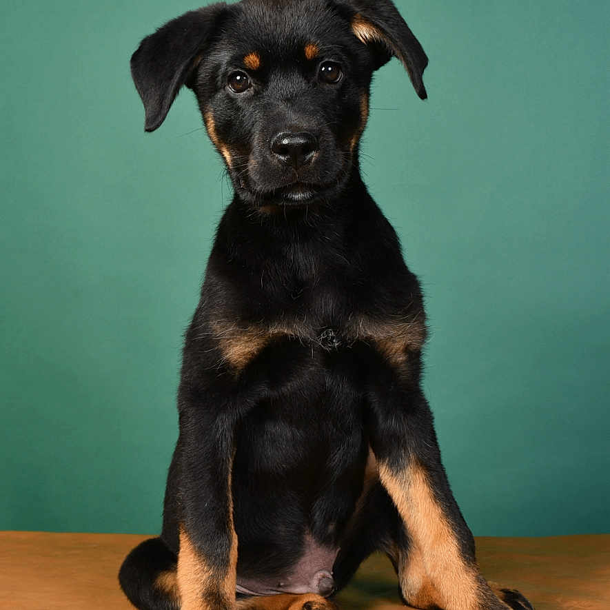 Milo