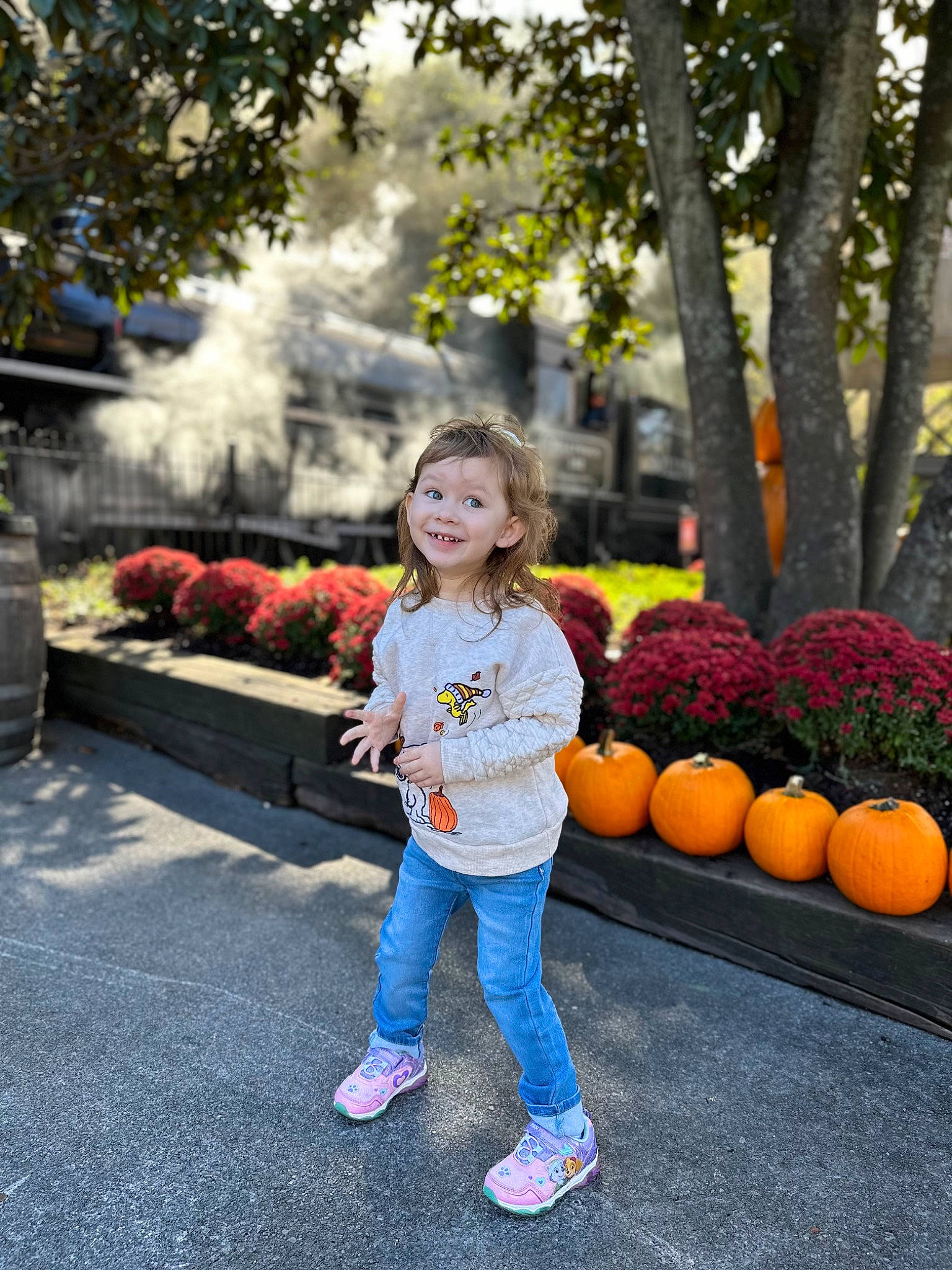 Adelaide joined the competition — help win amazing prizes! botany, child, fun, grass, happy, jeans, joy, leaf, leisure, natural_foods, people, people_in_nature, person, plant, pumpkin, recreation, smile, standing, summer, toddler