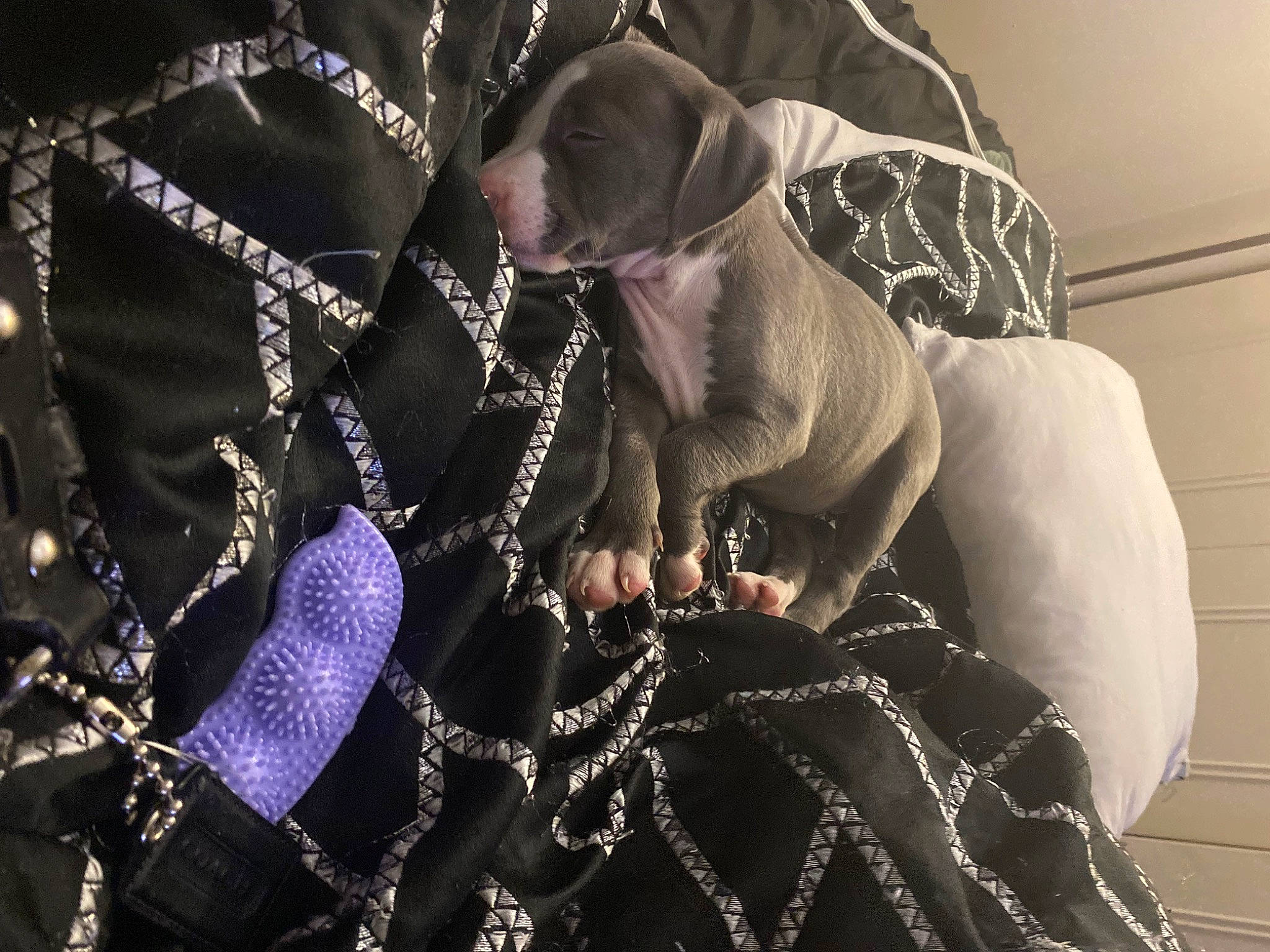 Fiona joined the competition — help win amazing prizes! arm, body_jewelry, bracelet, chest, cool, darkness, eyewear, fashion_accessory, fashion_design, flash_photography, hand, headgear, jewellery, magenta, metal, monochrome, monochrome_photography, necklace, pattern, shoe